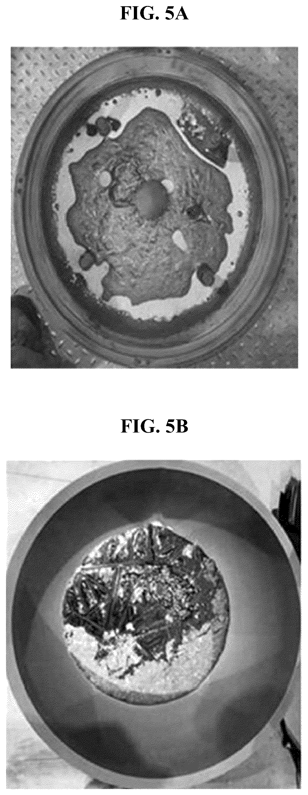 Patent US12378125 Figure 4 – Device and method of preparing siox, and siox anode material
