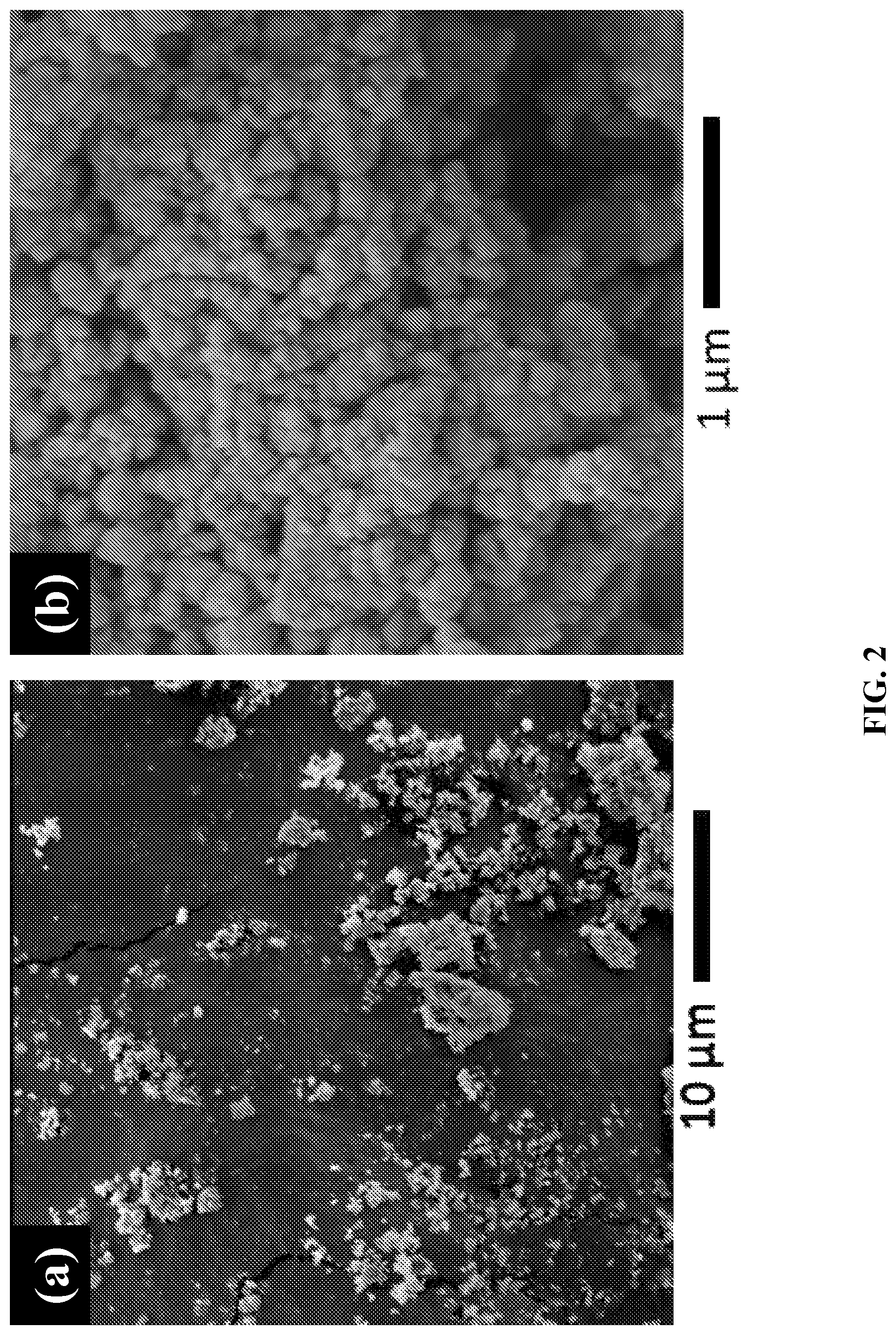 Patent US12378132 Figure 2 – Lithium transition metal oxide and precursor particulates and methods