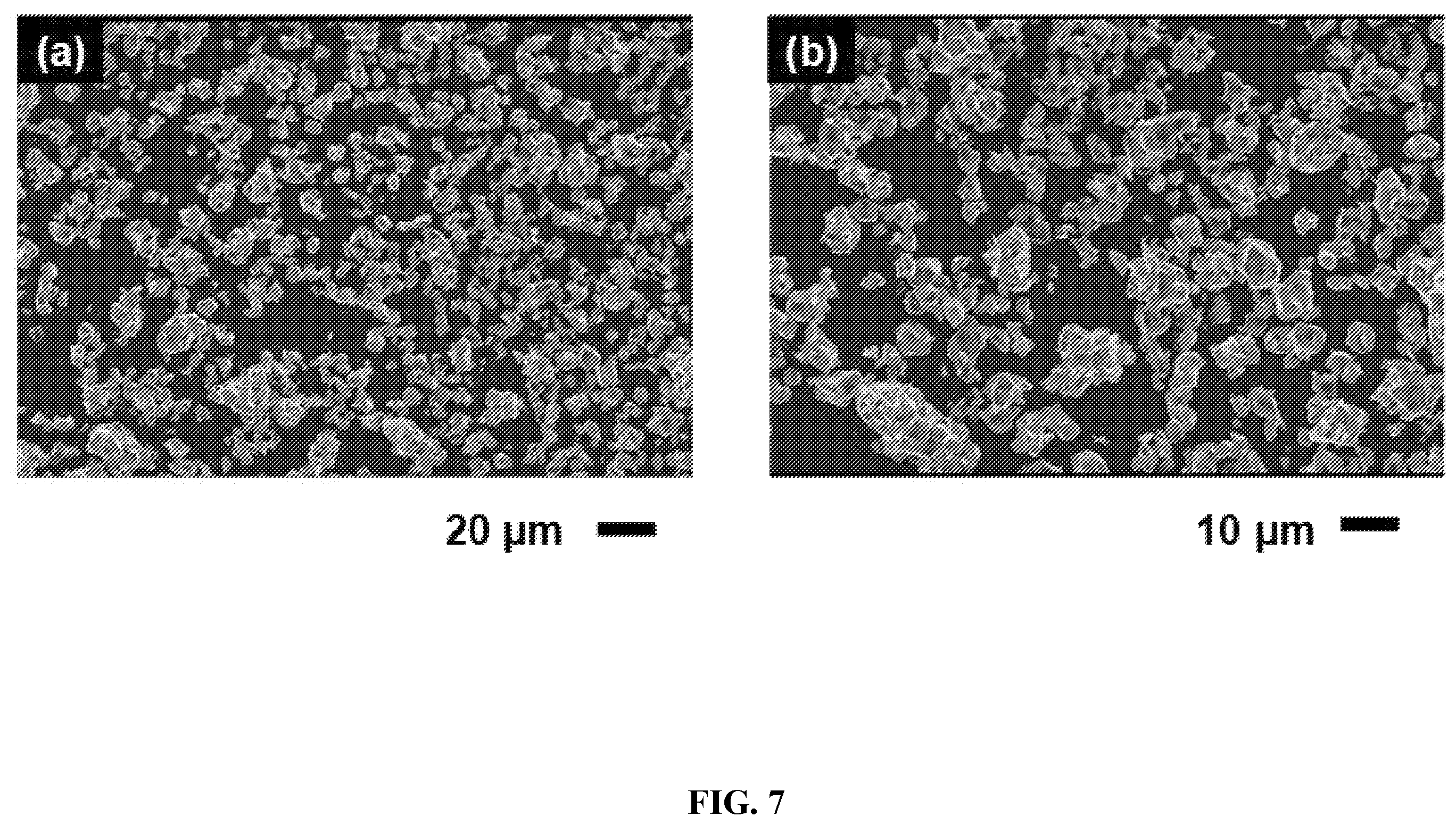 Patent US12378132 Figure 6 – Lithium transition metal oxide and precursor particulates and methods