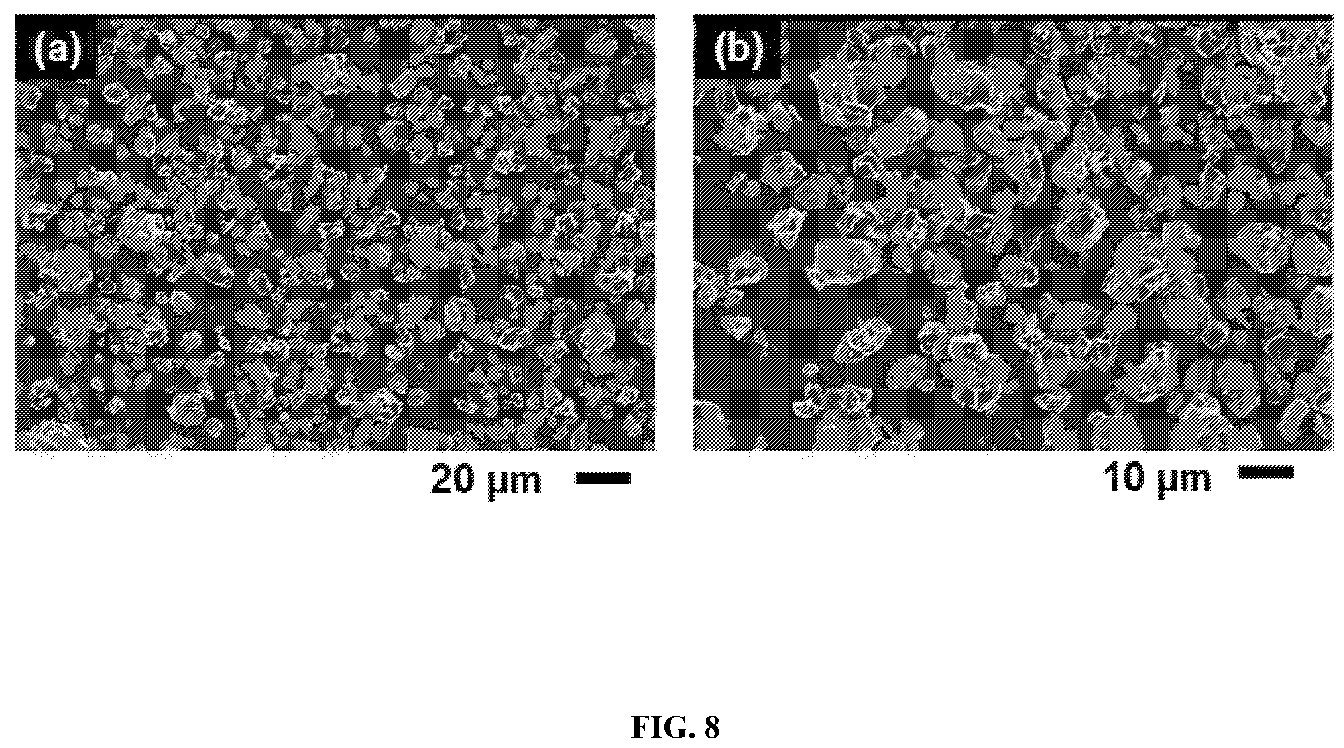 Patent US12378132 Figure 10 – Lithium transition metal oxide and precursor particulates and methods