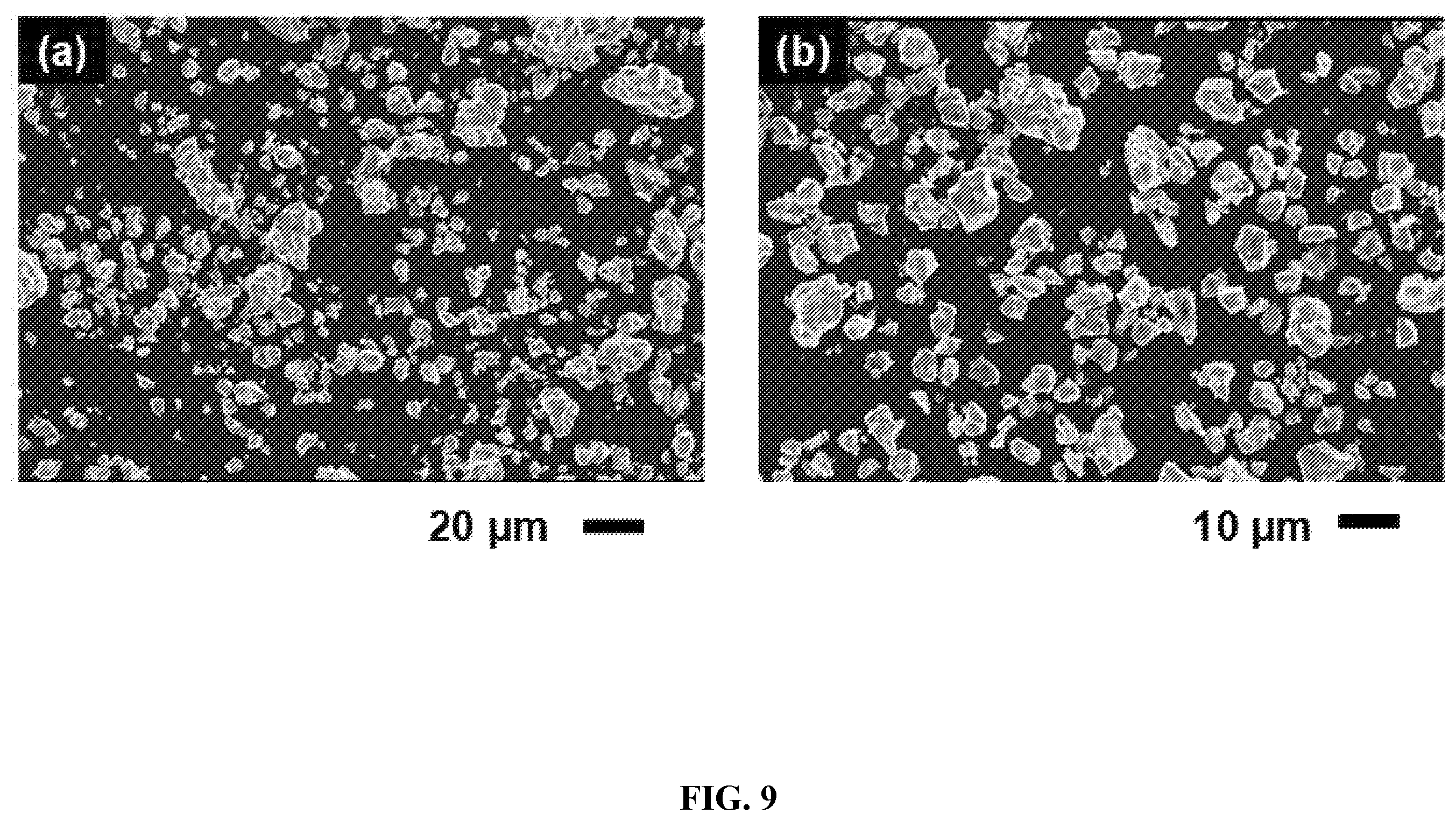 Patent US12378132 Figure 14 – Lithium transition metal oxide and precursor particulates and methods
