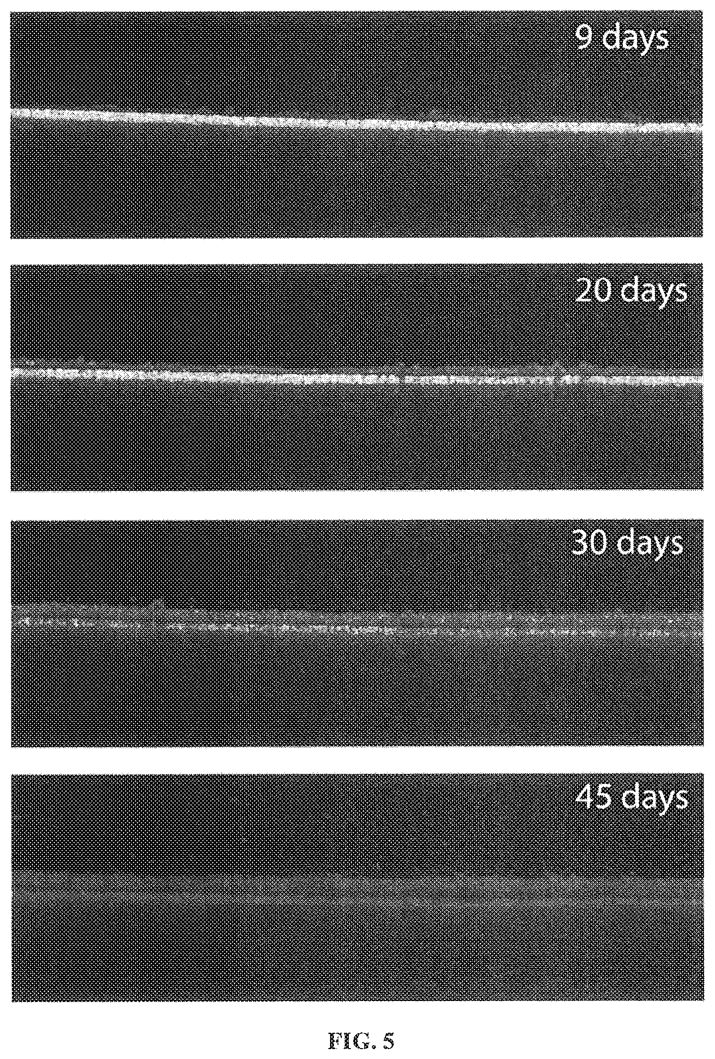 Patent US12378142 Figure 3 – Waste water treatment system using aerobic granular sludge gravity-driven membrane system