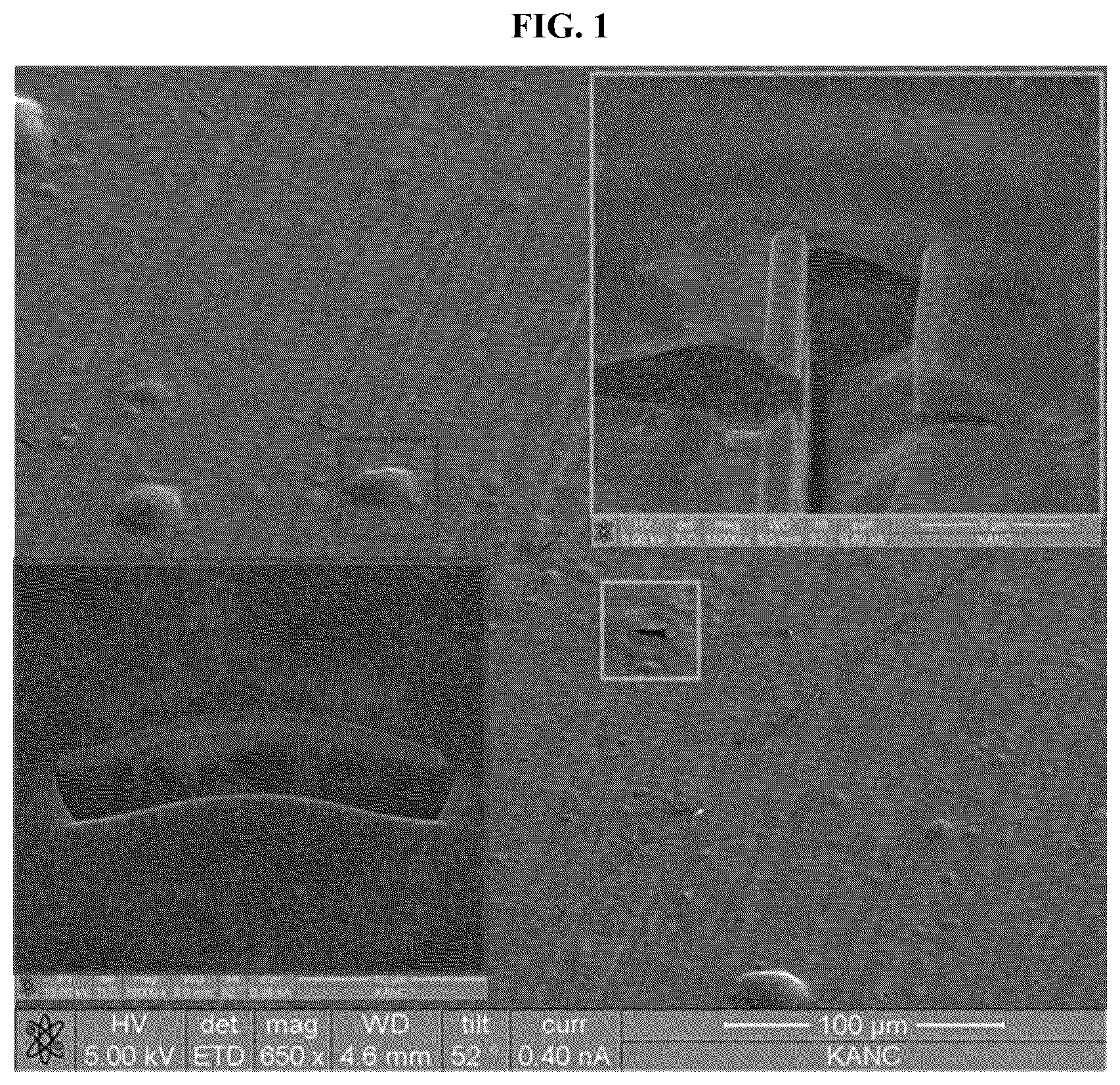 Patent US12378162 Figure 1 – Nano inorganic composition and coating method using same