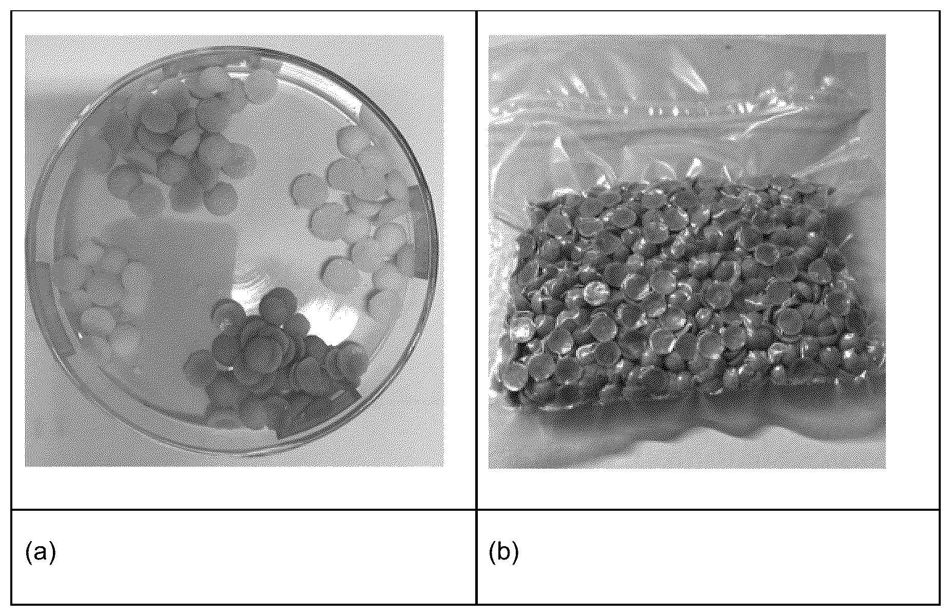 Patent US12378167 — NPK liquid and solid fertilizer, obtaining process, fertilizing compositions and use — Figure 1