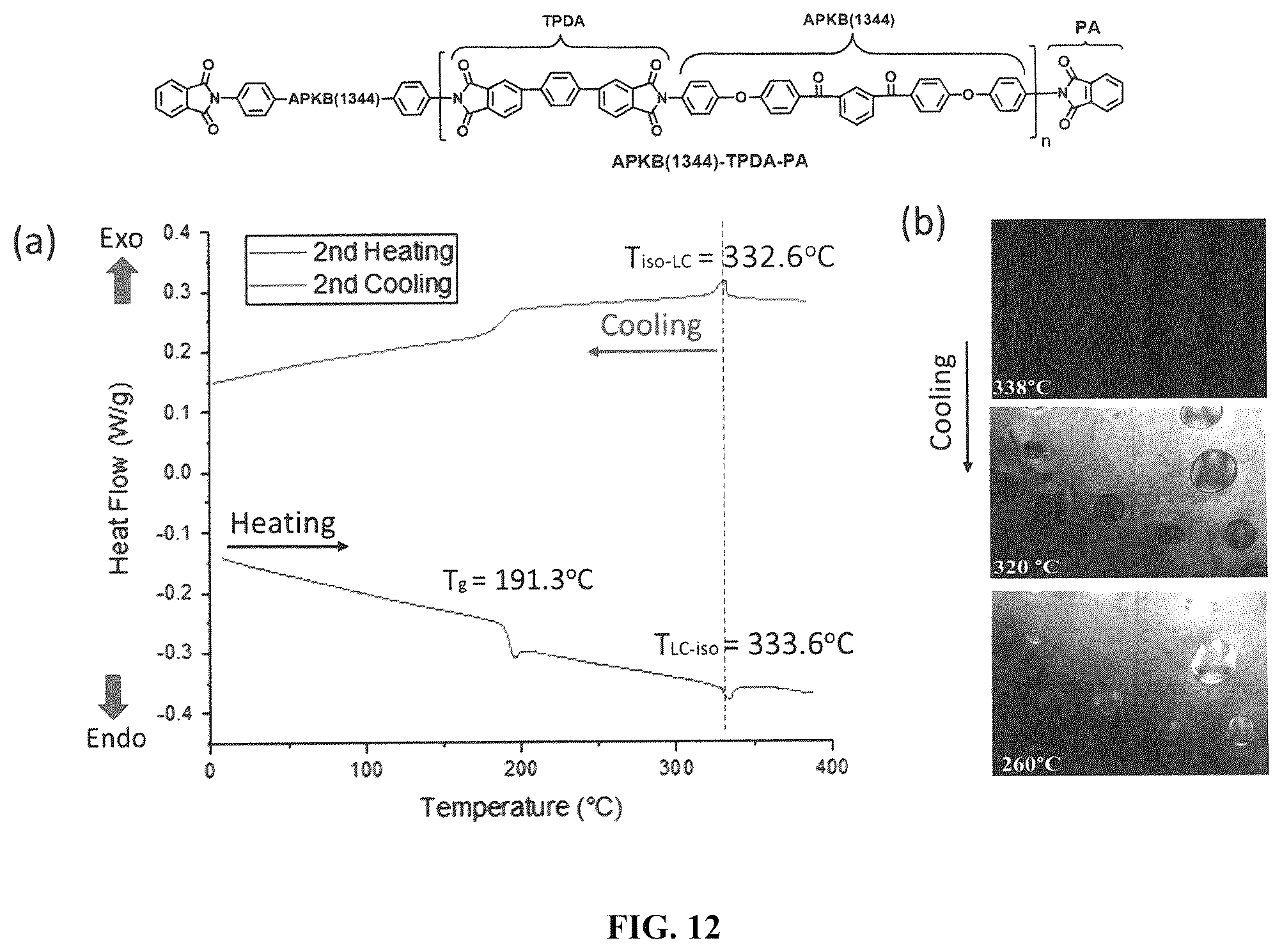 Patent US12378184 Figure 12 – All-aromatic liquid-crystalline homo-polyimides with aromatic endgroups and crosslinked products therefrom