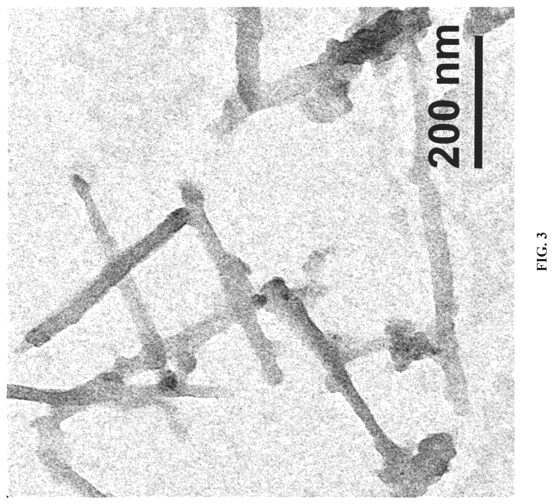 Patent US12378187 Figure 3 – Selenium-containing nano HOF, antioxidant nanozyme, preparation method and application thereof