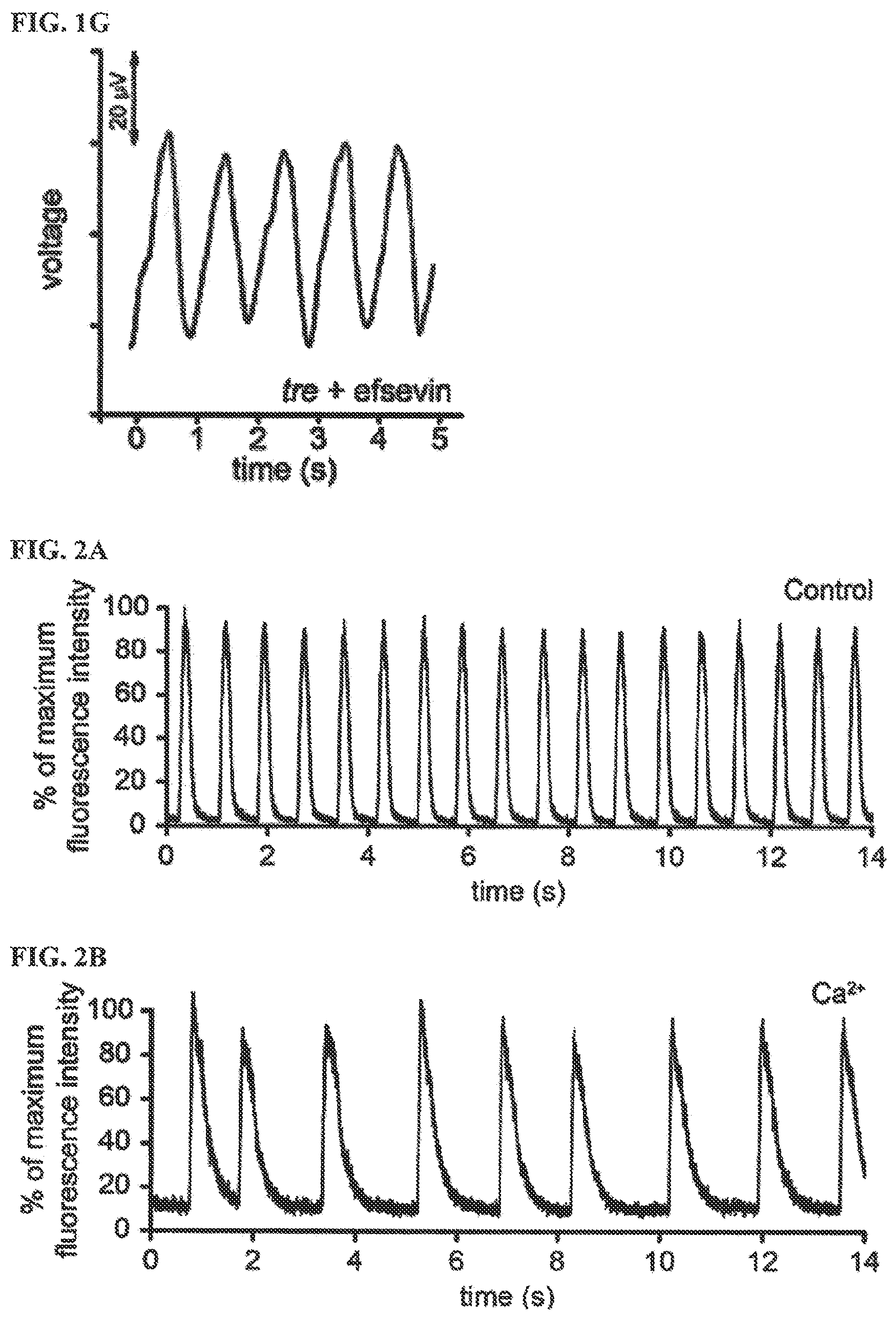 Patent US12378193 Figure 2 – Anti-arrhythmicity agents