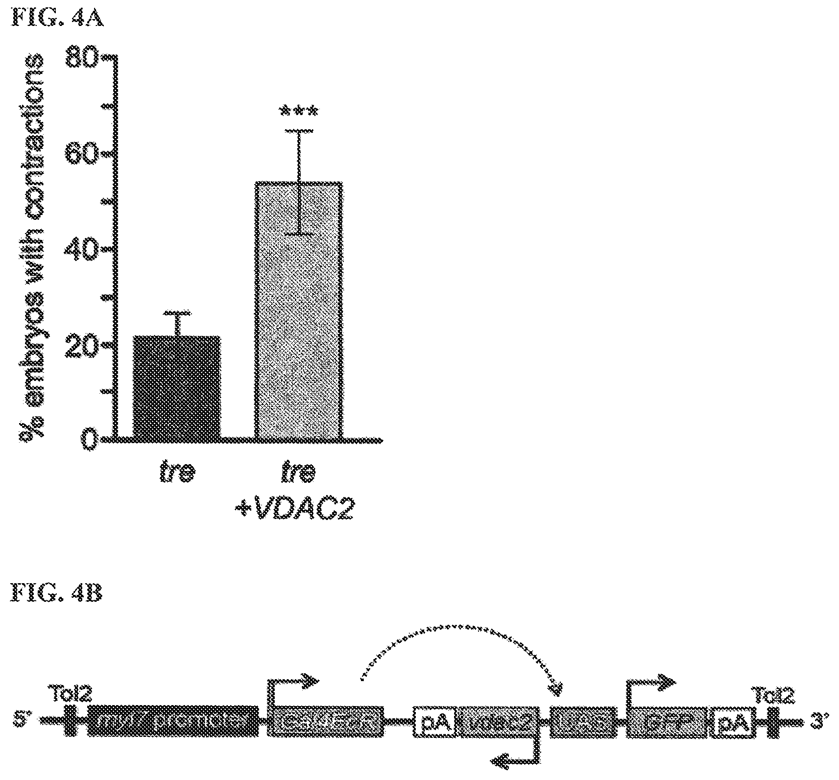 Patent US12378193 Figure 6 – Anti-arrhythmicity agents