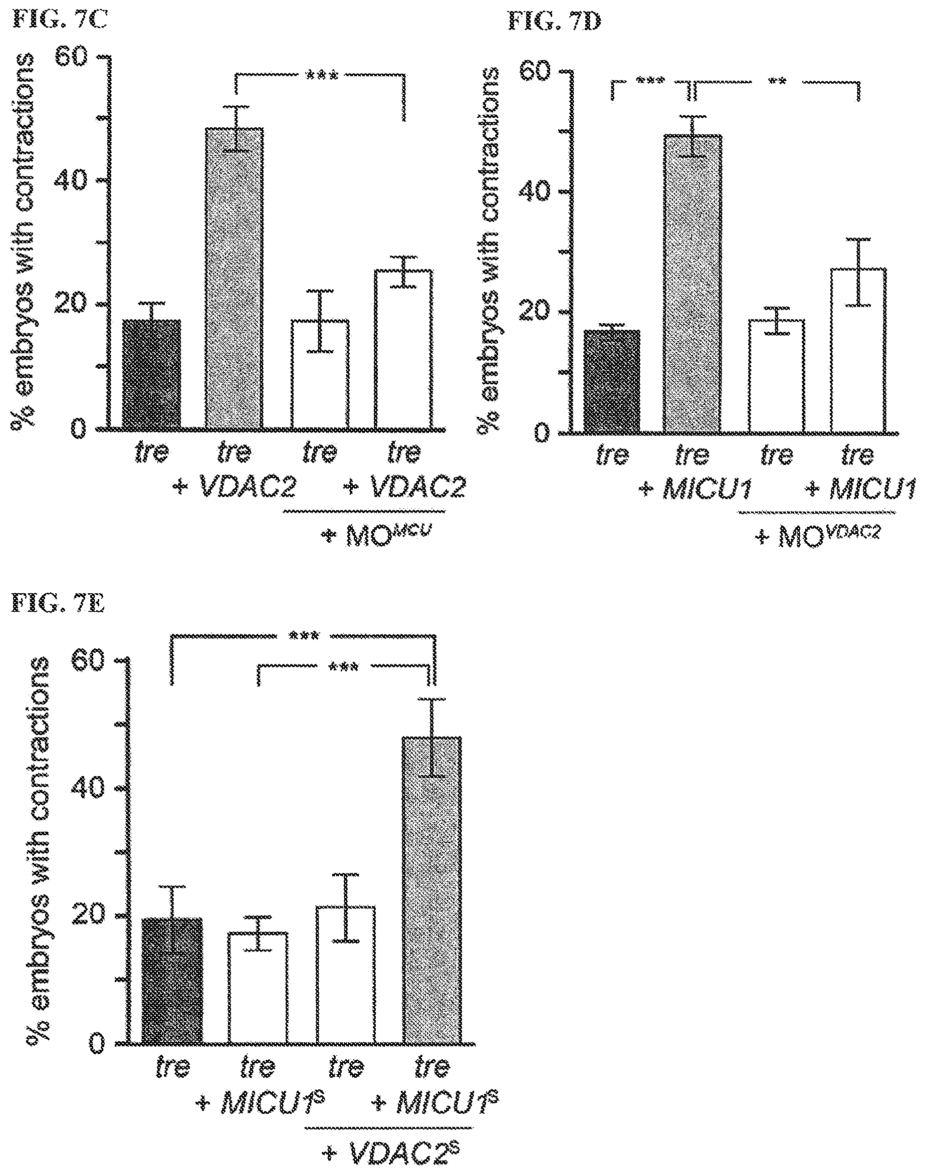 Patent US12378193 Figure 12 – Anti-arrhythmicity agents