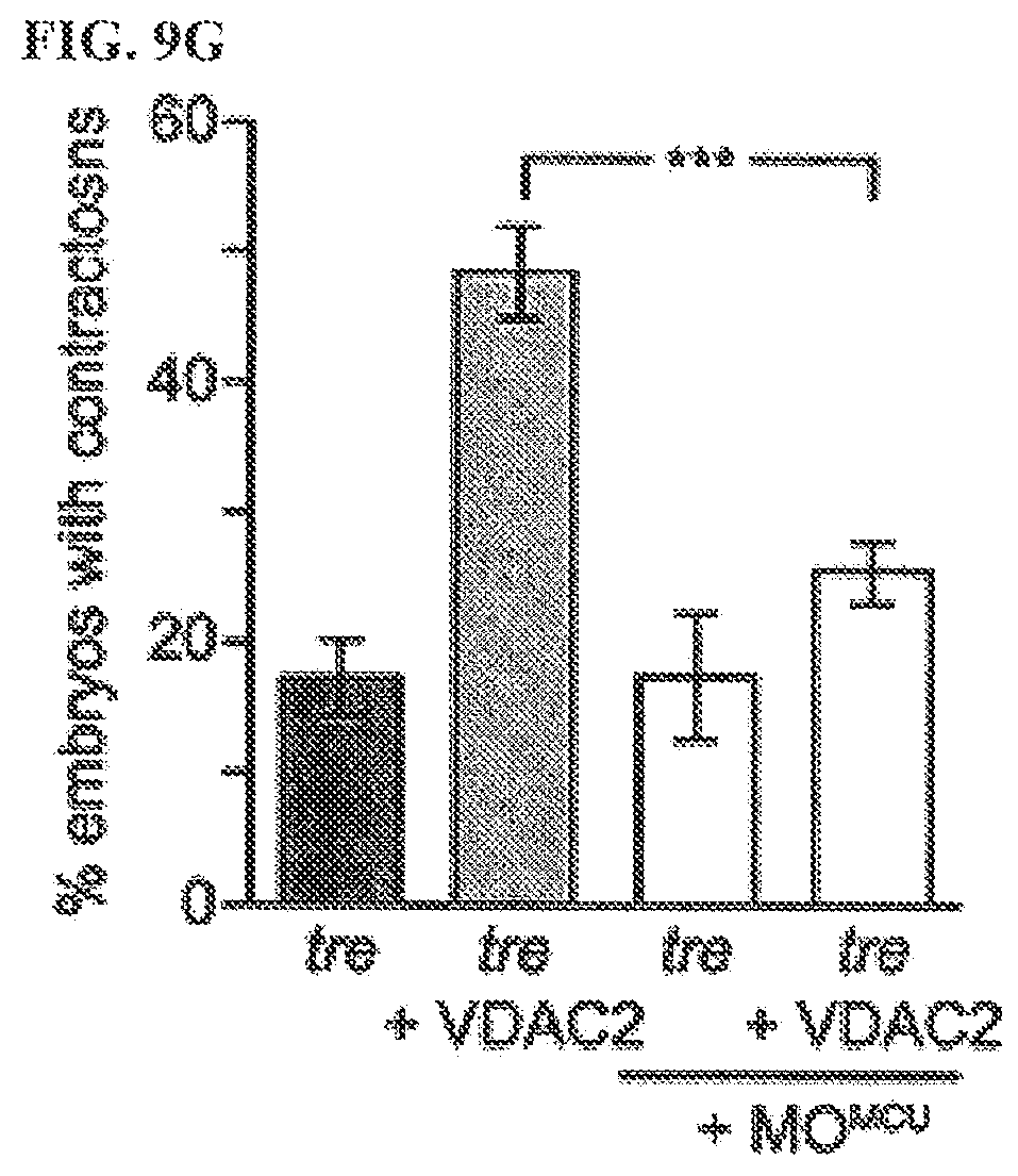 Patent US12378193 Figure 15 – Anti-arrhythmicity agents
