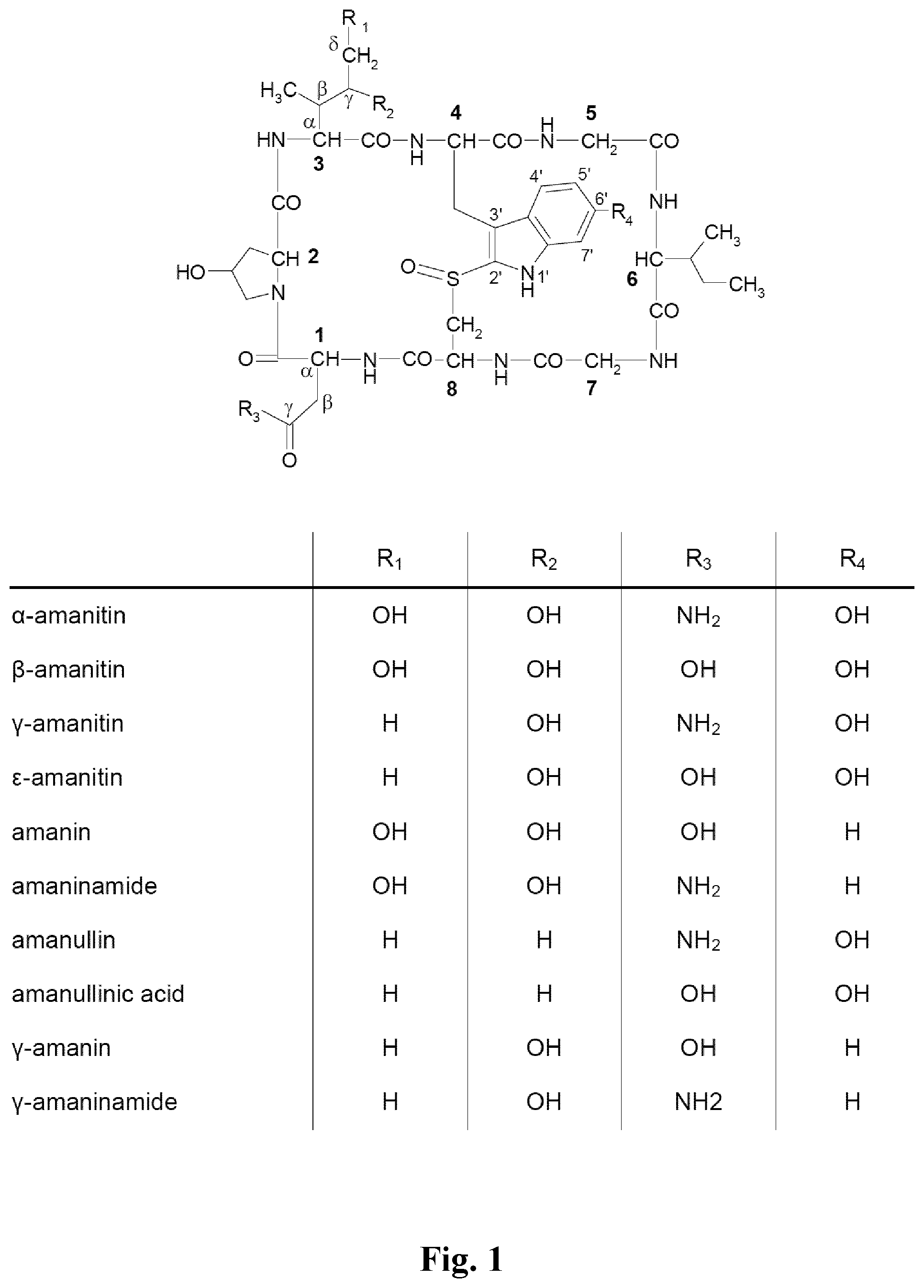 Patent US12378196 Figure 1 – Synthesis of (S)-6-hydroxytryptophan and derivatives thereof