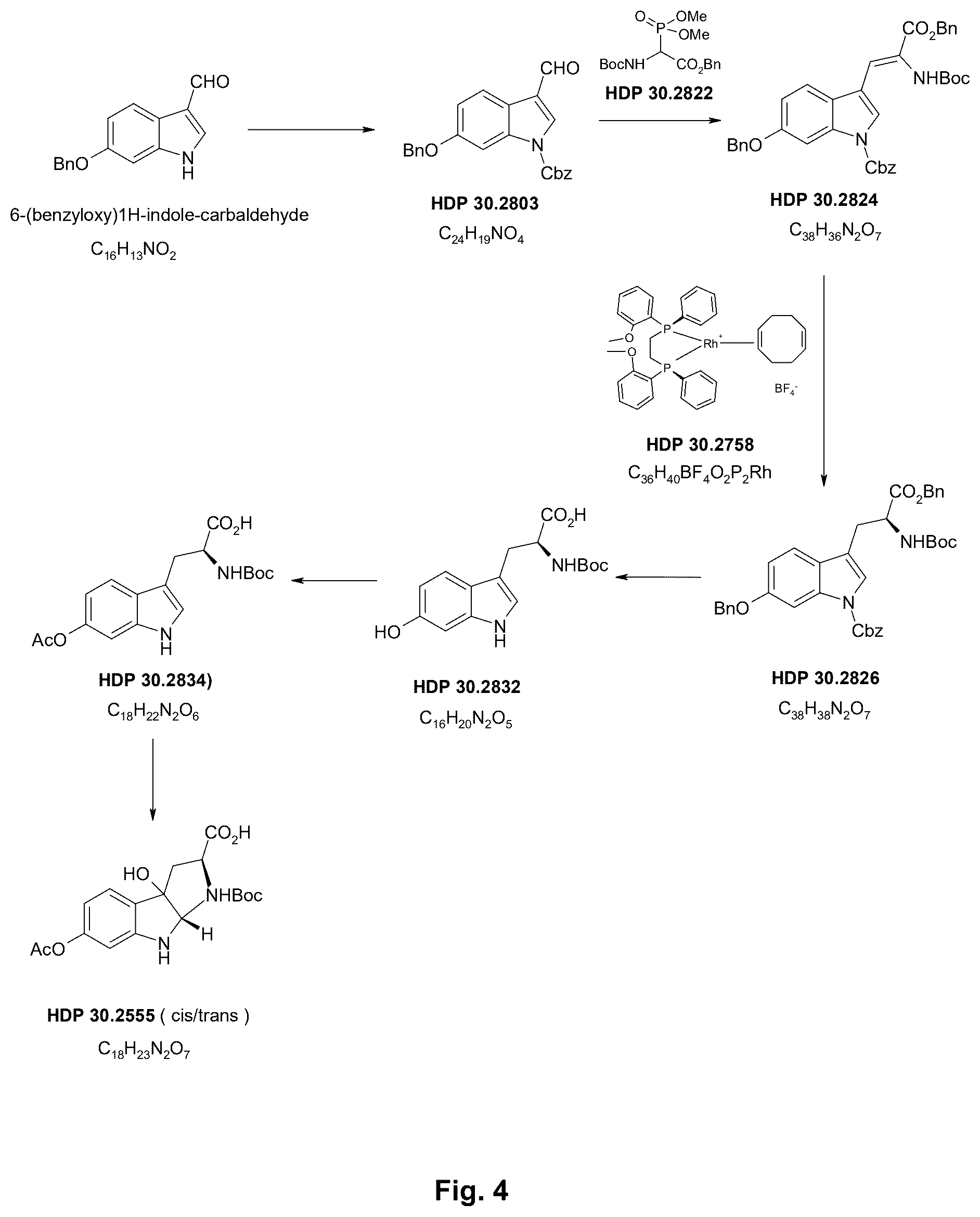 Patent US12378196 Figure 3 – Synthesis of (S)-6-hydroxytryptophan and derivatives thereof