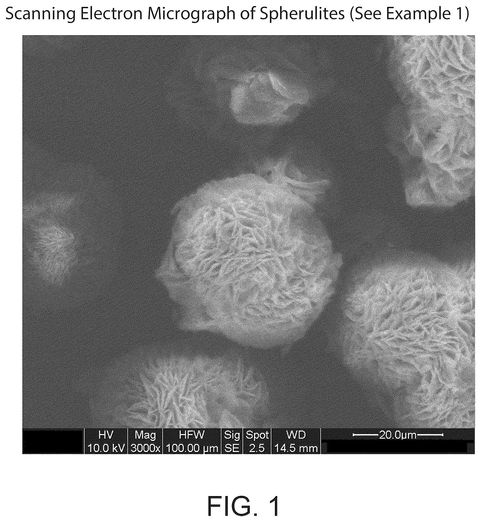 Patent US12378198 Figure 1 – Crystalline l-arginine salt of (R)-2-(7-(4-cyclopentyl-3-(trifluoromethyl)benzyloxy)-1,2,3,4-tetrahydrocyclo-penta [b]indol-3-yl)acetic acid(compound1) for use in SIPI receptor-associated disorders
