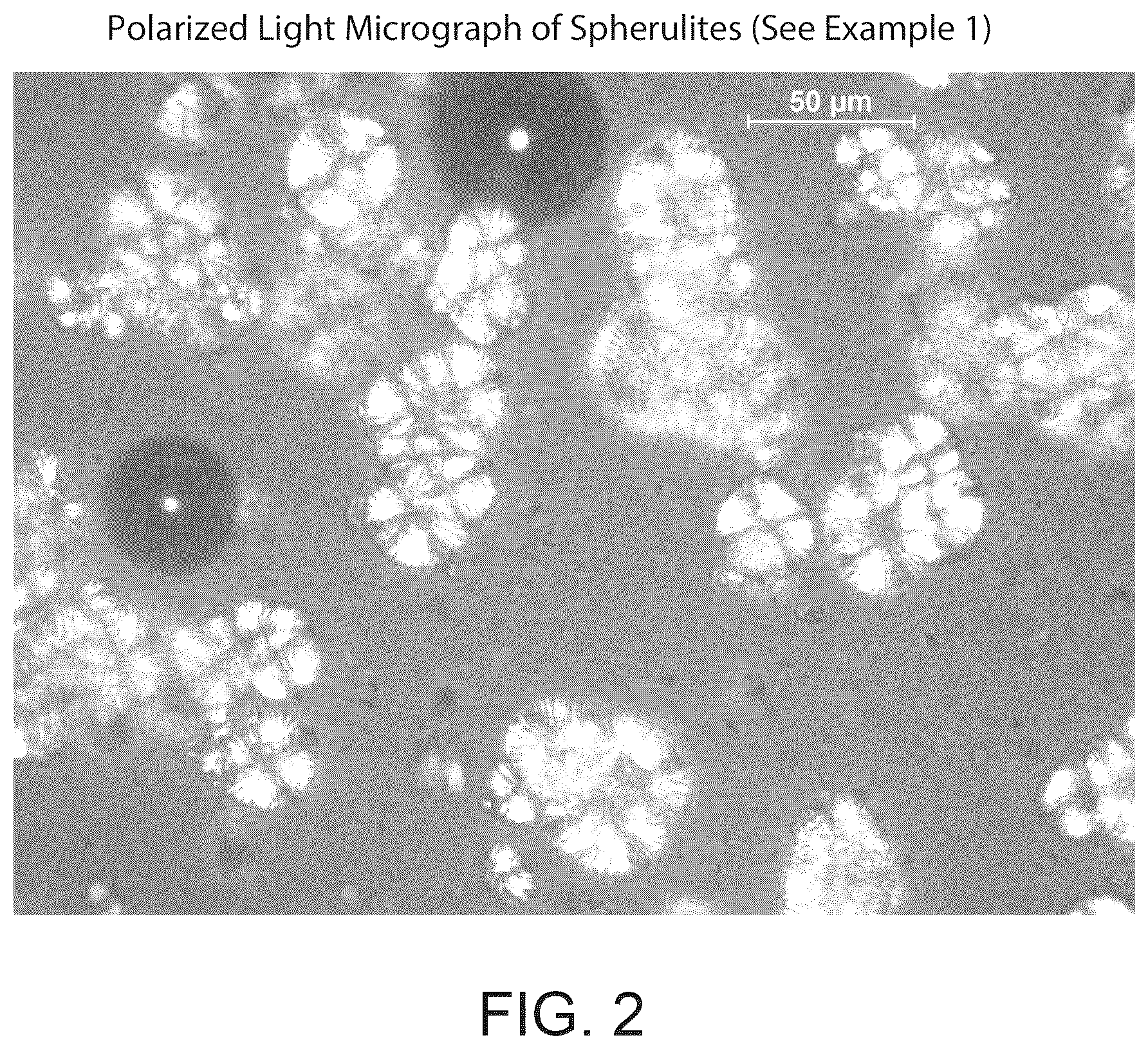 Patent US12378198 Figure 2 – Crystalline l-arginine salt of (R)-2-(7-(4-cyclopentyl-3-(trifluoromethyl)benzyloxy)-1,2,3,4-tetrahydrocyclo-penta [b]indol-3-yl)acetic acid(compound1) for use in SIPI receptor-associated disorders