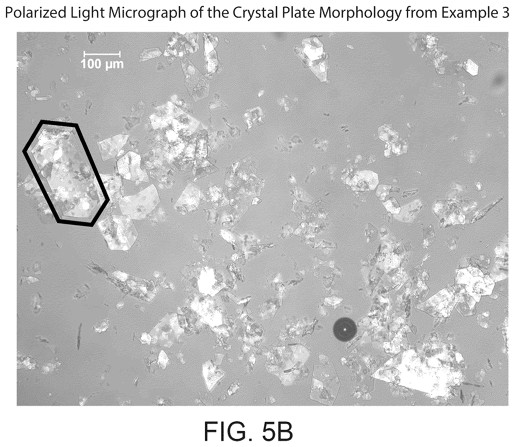 Patent US12378198 Figure 8 – Crystalline l-arginine salt of (R)-2-(7-(4-cyclopentyl-3-(trifluoromethyl)benzyloxy)-1,2,3,4-tetrahydrocyclo-penta [b]indol-3-yl)acetic acid(compound1) for use in SIPI receptor-associated disorders