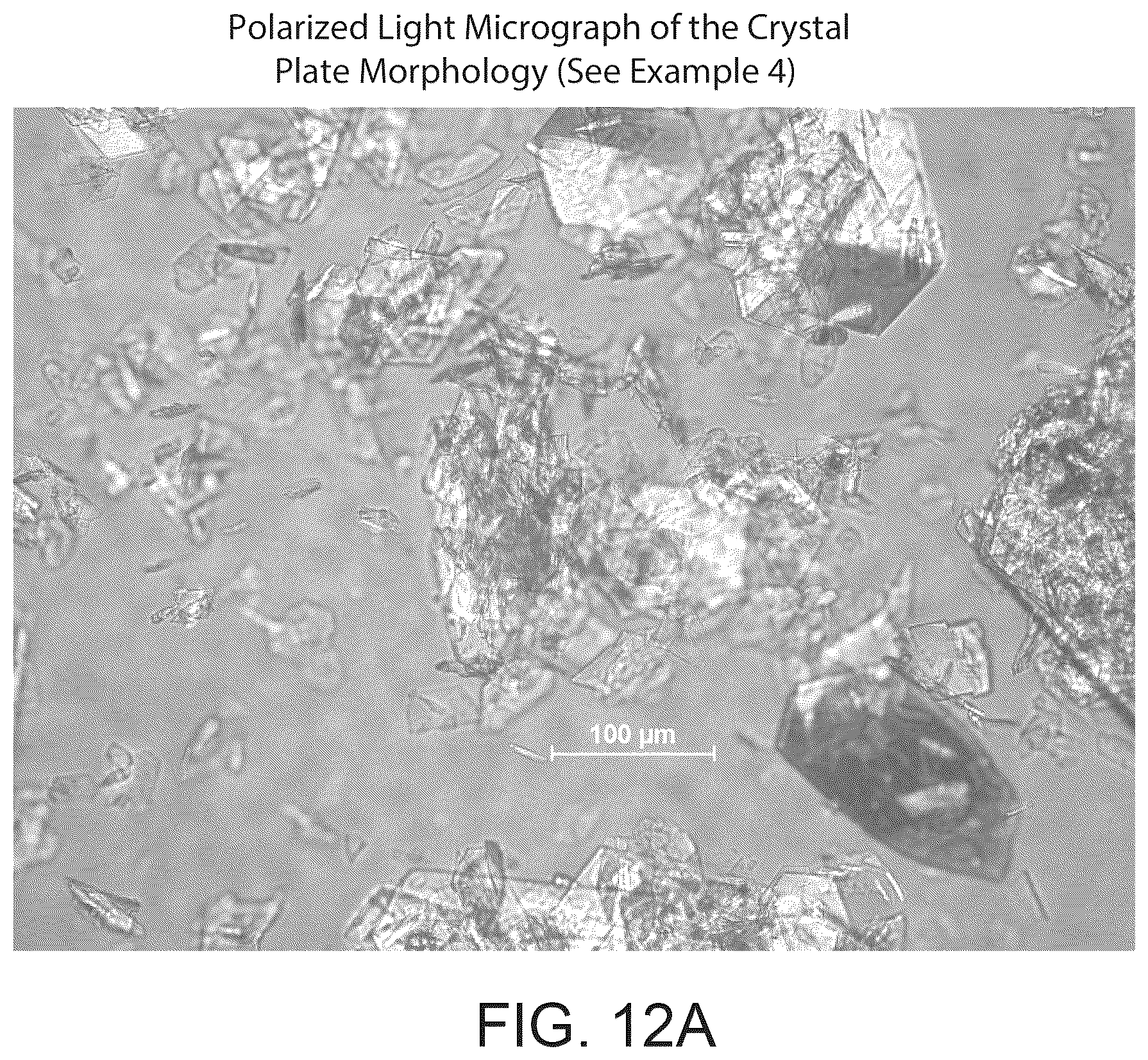 Patent US12378198 Figure 13 – Crystalline l-arginine salt of (R)-2-(7-(4-cyclopentyl-3-(trifluoromethyl)benzyloxy)-1,2,3,4-tetrahydrocyclo-penta [b]indol-3-yl)acetic acid(compound1) for use in SIPI receptor-associated disorders