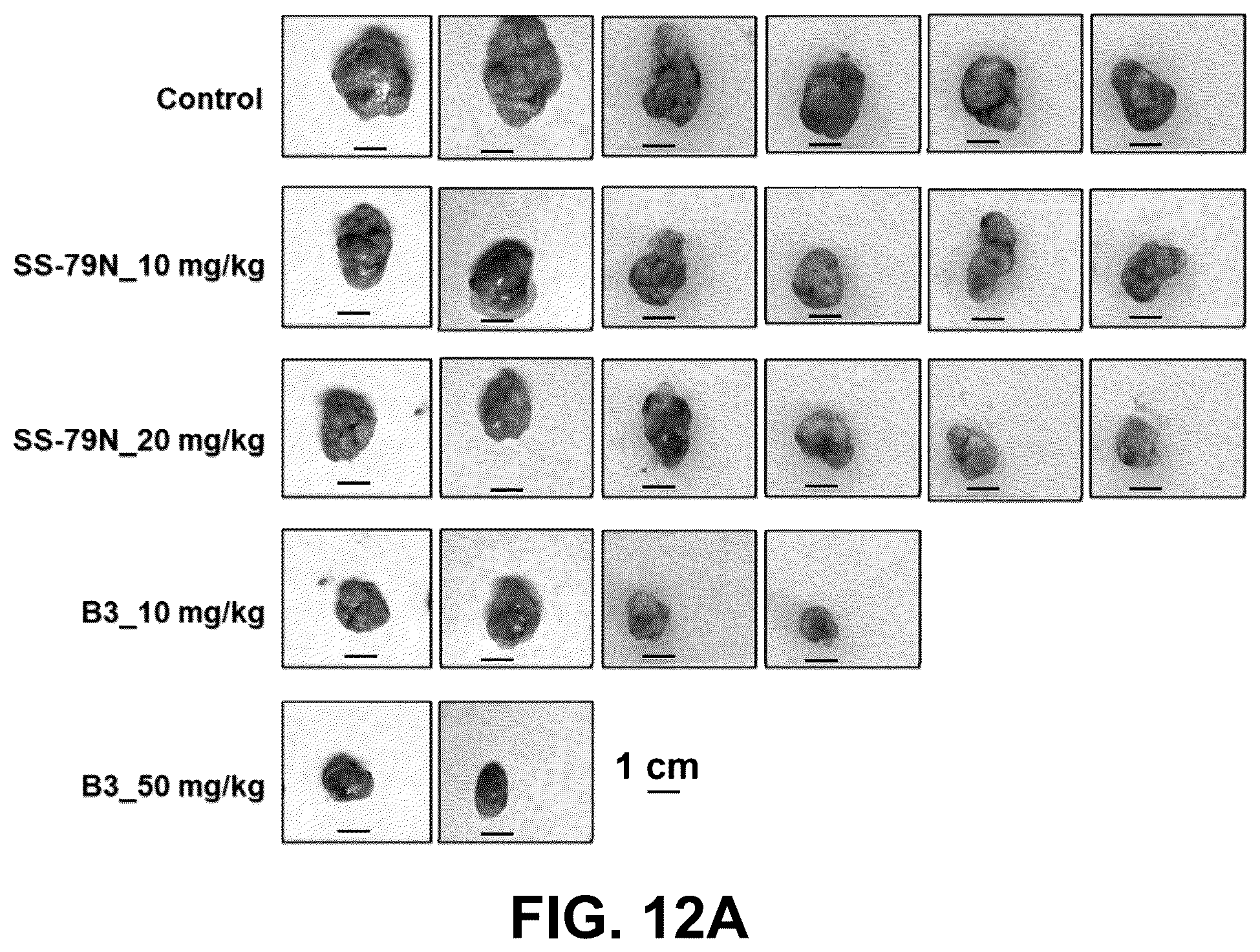 Patent US12378201 Figure 16 – Histone demethylase inhibitors for treating cancers
