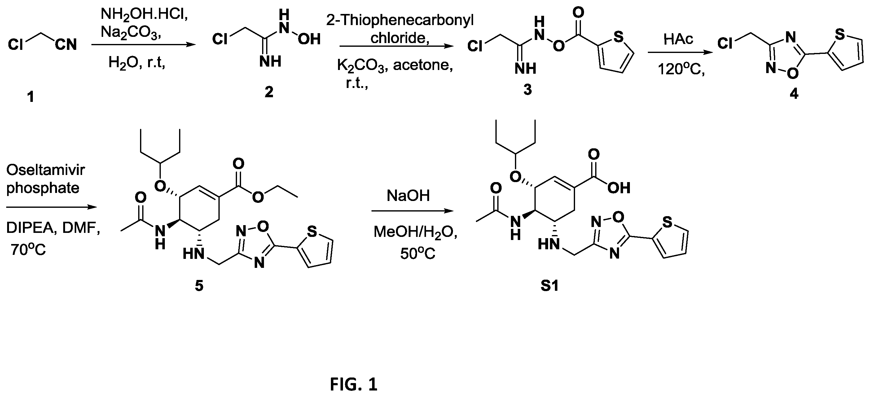 Patent US12378208 Figure 1 – N-substituted oseltamivir derivatives with antimicrobial activity
