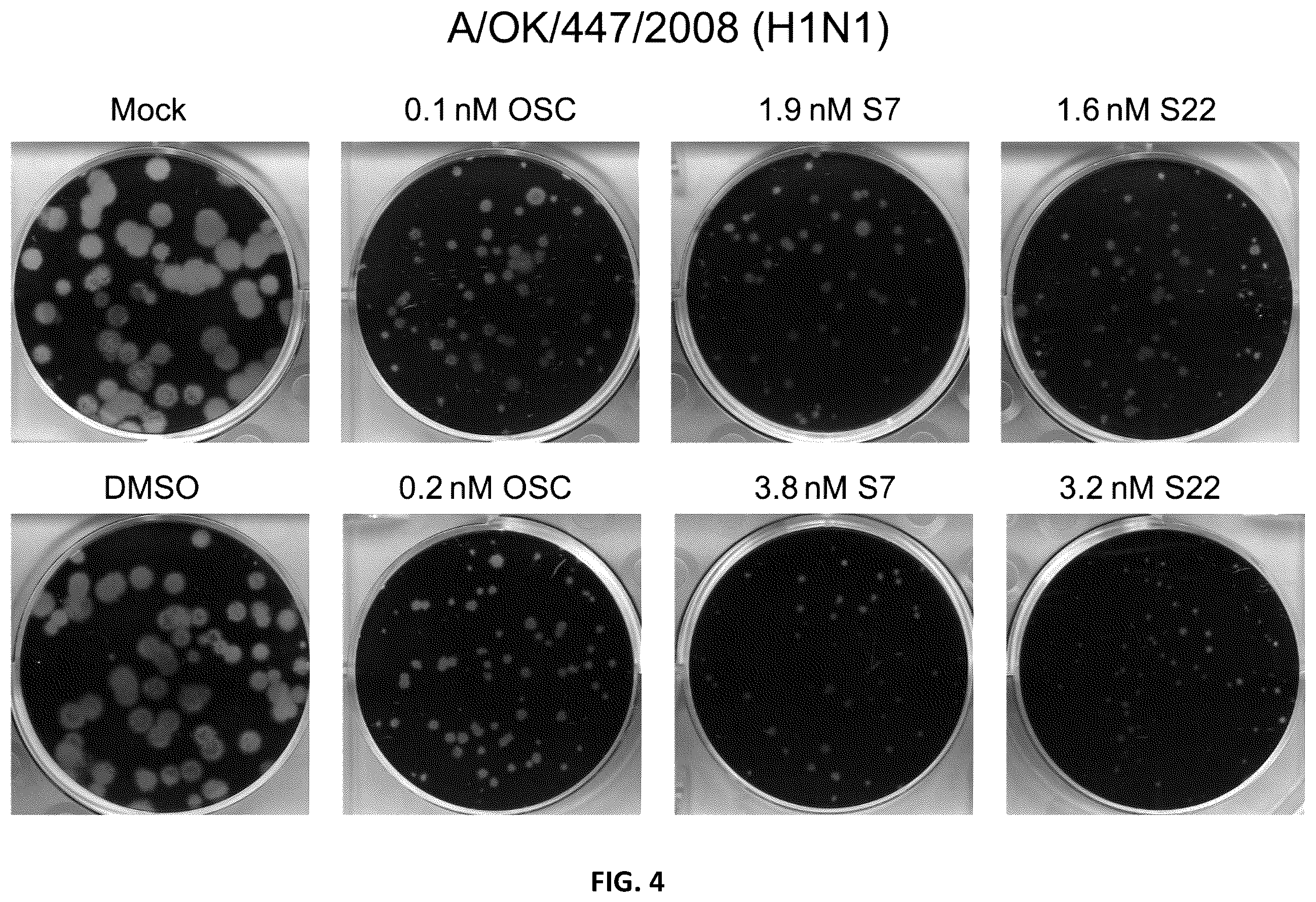 Patent US12378208 Figure 4 – N-substituted oseltamivir derivatives with antimicrobial activity