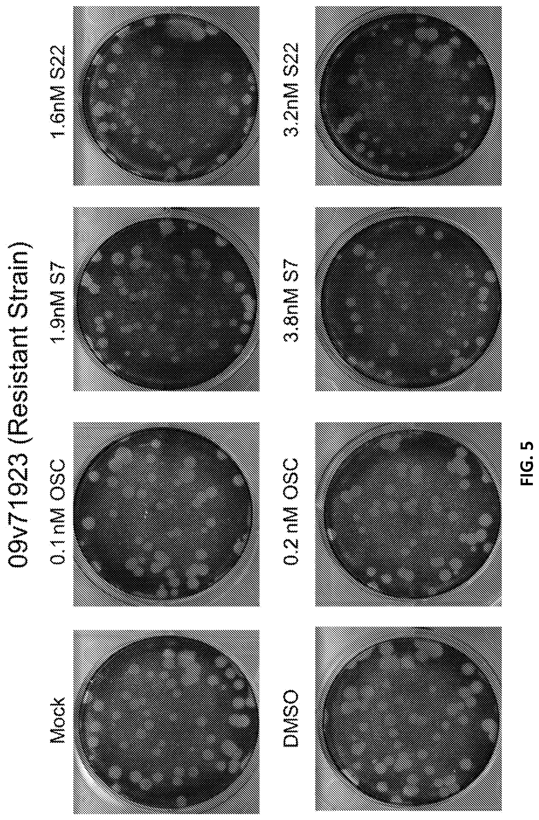 Patent US12378208 Figure 5 – N-substituted oseltamivir derivatives with antimicrobial activity