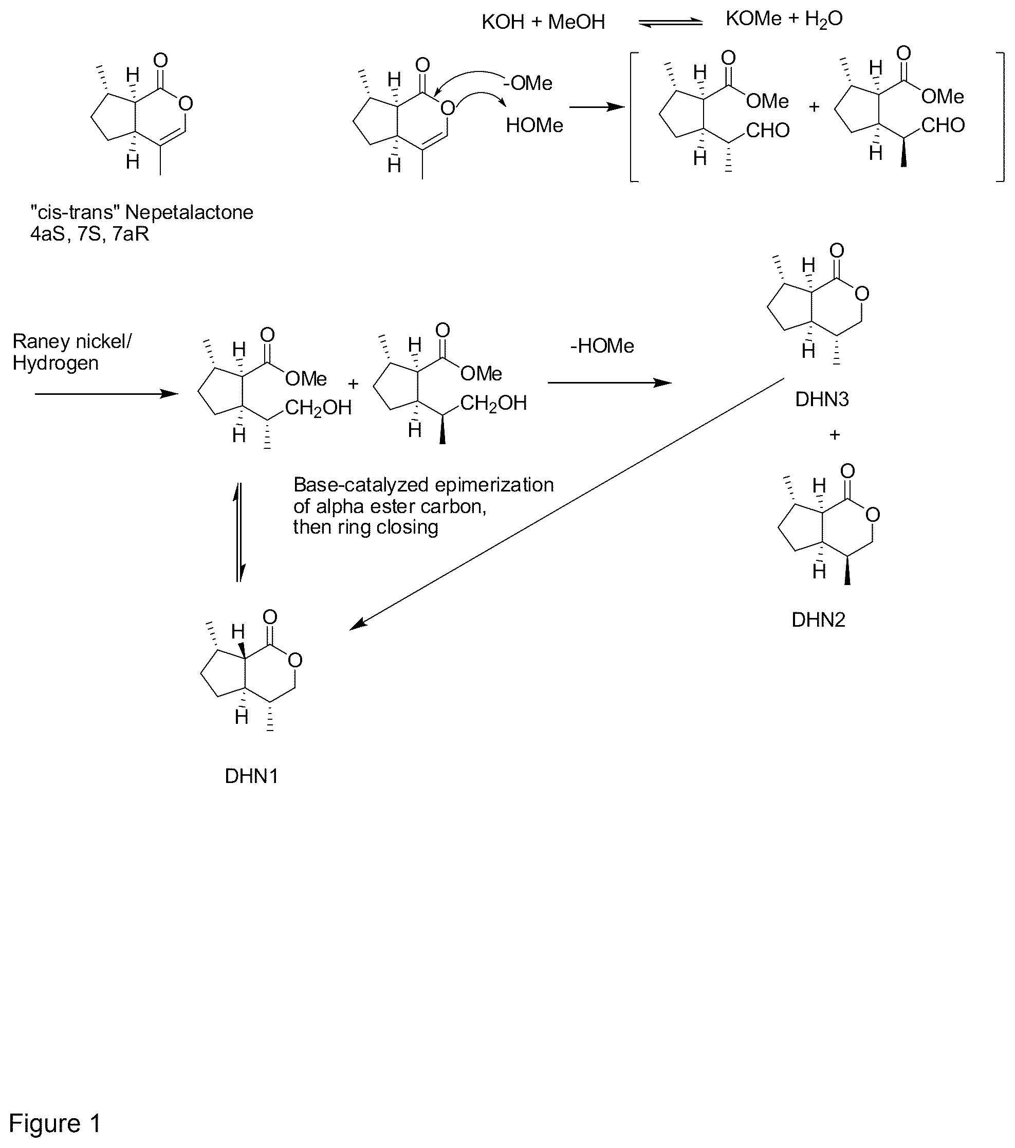 Patent US12378213 Figure 1 – Process for the hydrogenation of catnip oil