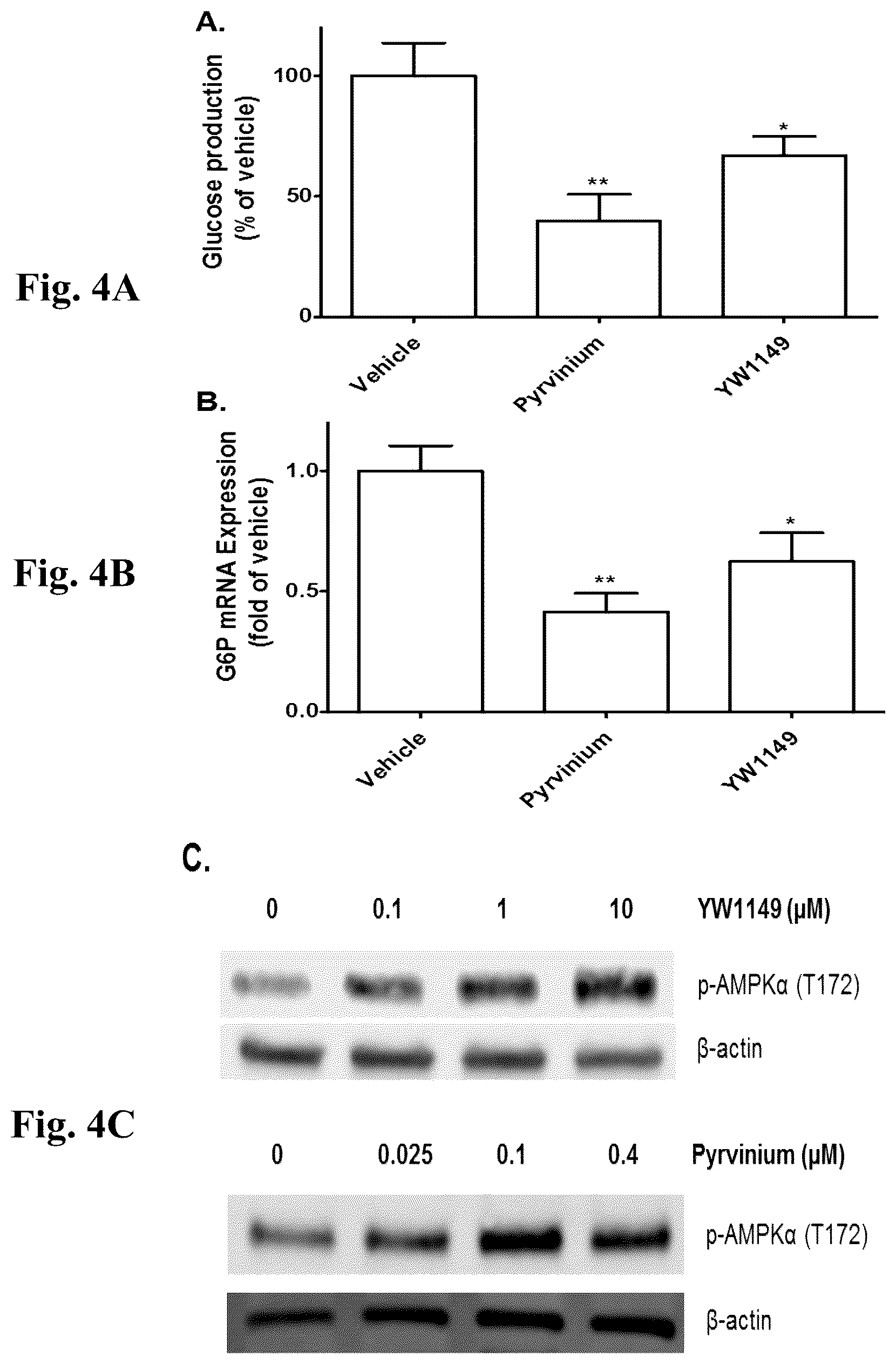 Patent US12378220 Figure 5 – WNT signaling pathway inhibitors for treatments of disease