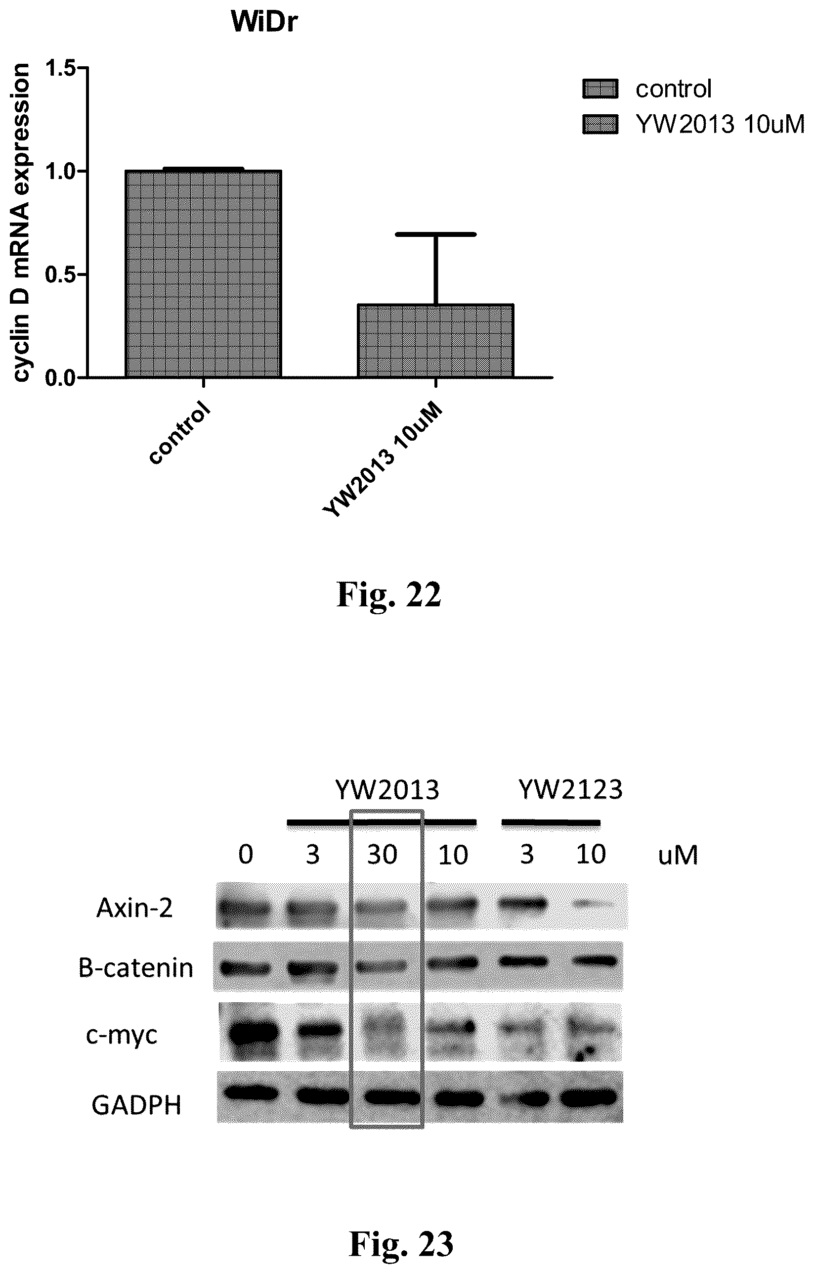 Patent US12378220 Figure 20 – WNT signaling pathway inhibitors for treatments of disease