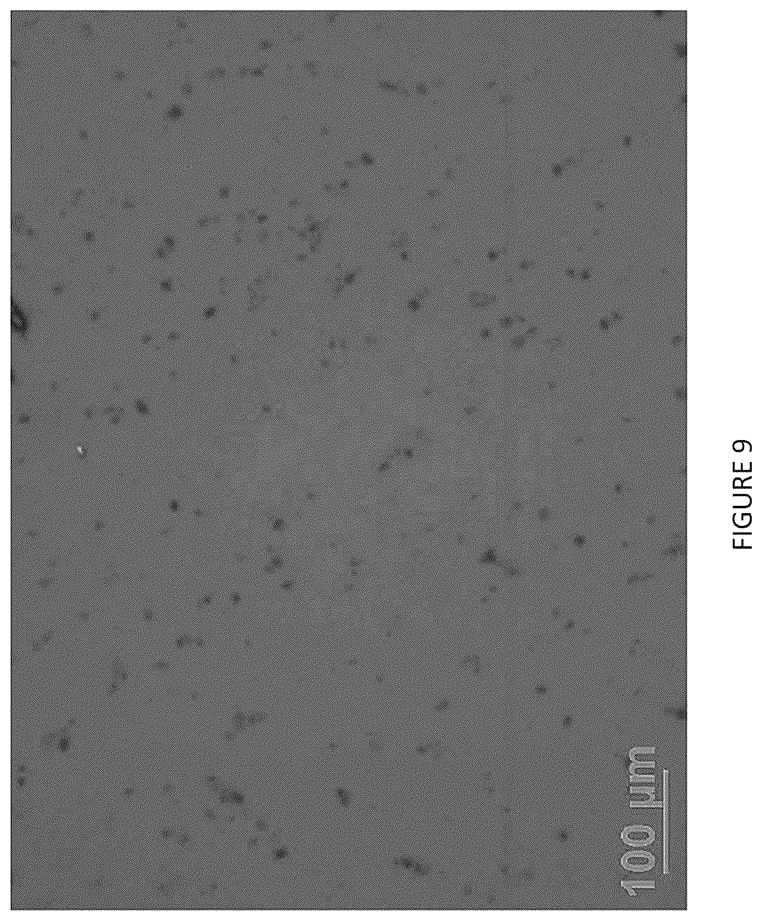 Patent US12378221 Figure 9 – Salts of obicetrapib and processes for their manufacture and intermediates thereof