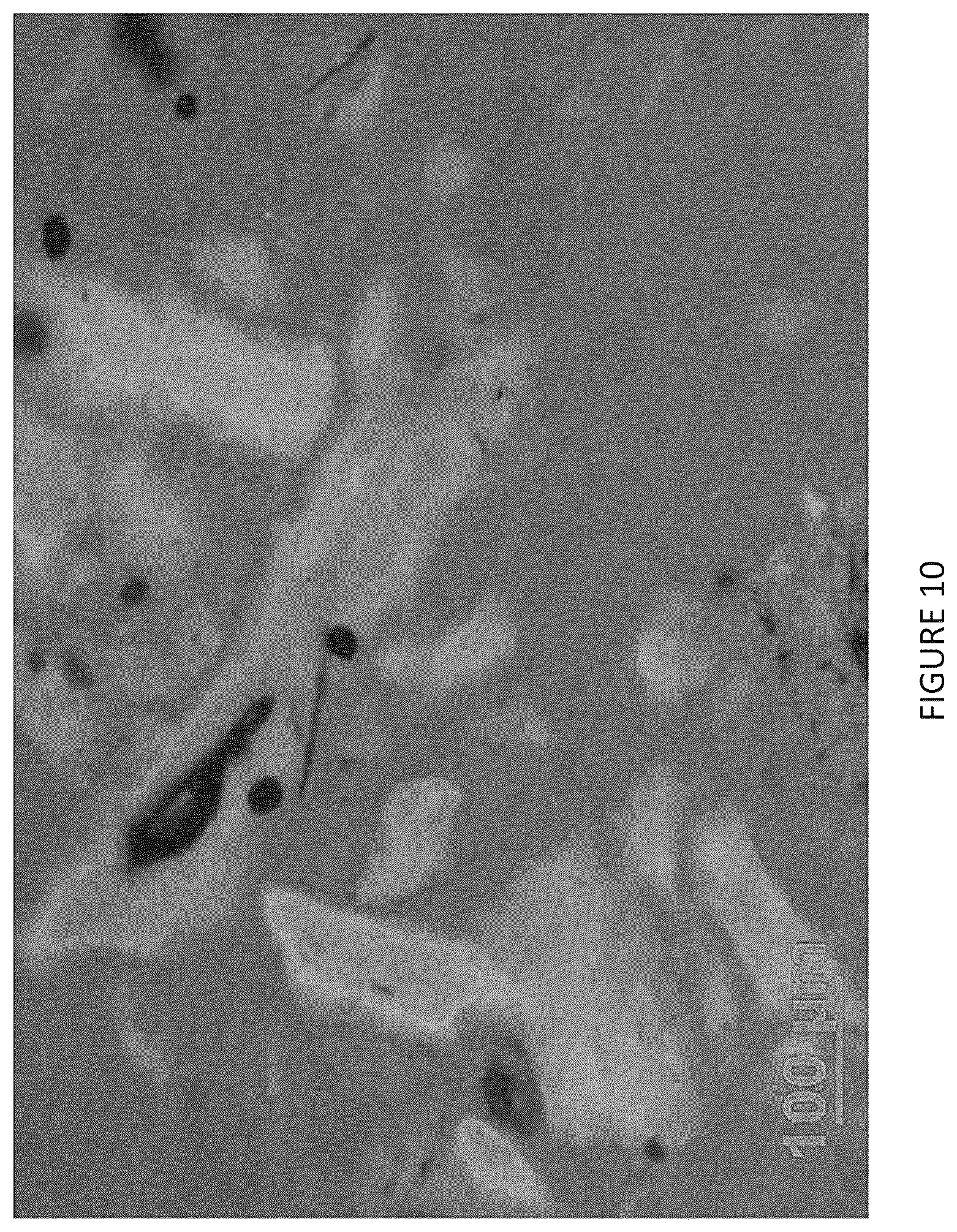Patent US12378221 Figure 10 – Salts of obicetrapib and processes for their manufacture and intermediates thereof
