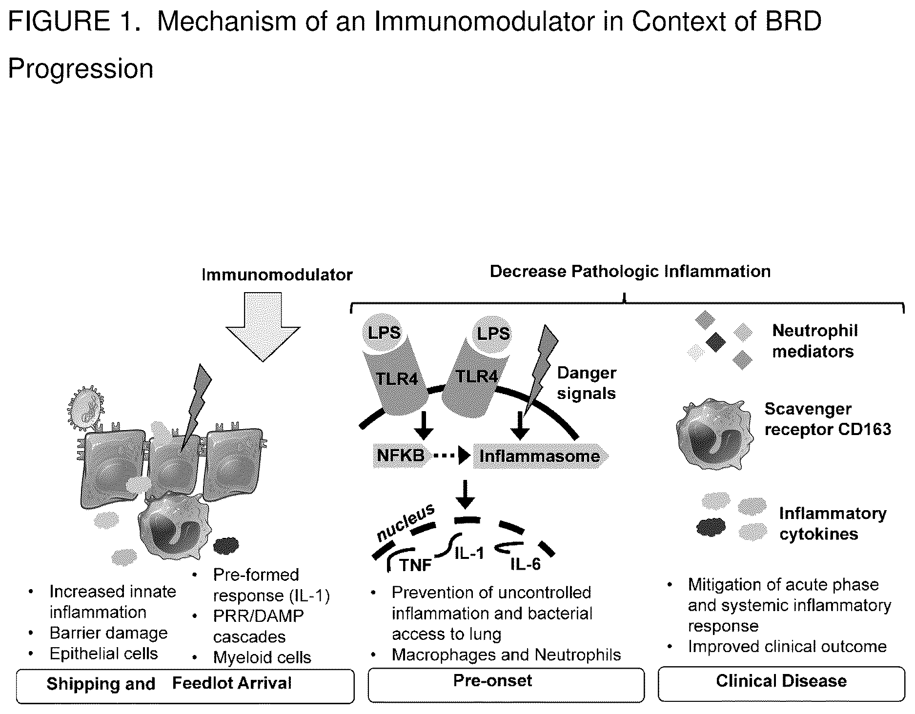 Patent US12378233 — Immunomodulating azalides — Figure 1