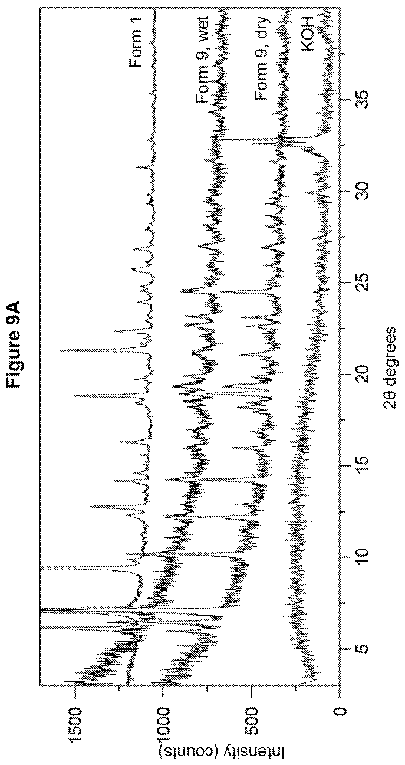 Patent US12378234 Figure 20 – Crystalline polymorphs of a 1-thiazol-2-yl-pyrazole-5-carboxylic acid derivative