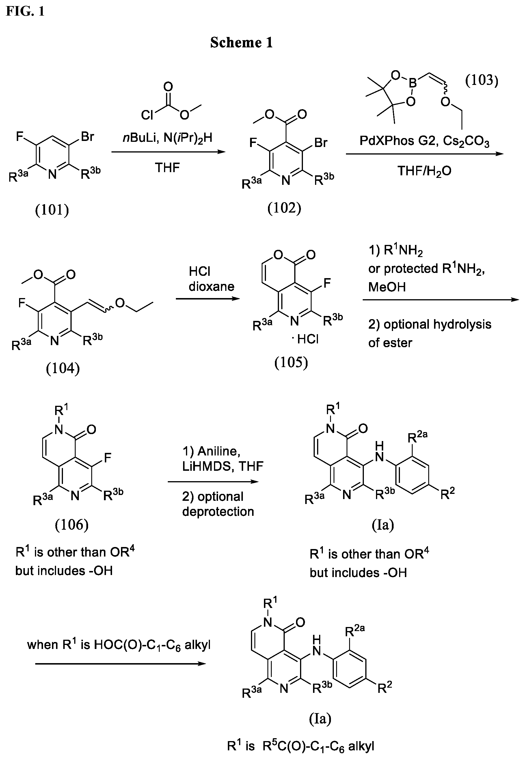 Patent US12378240 Figure 1 – Naphthyridinone-aniline compounds for treatment of dermal disorders