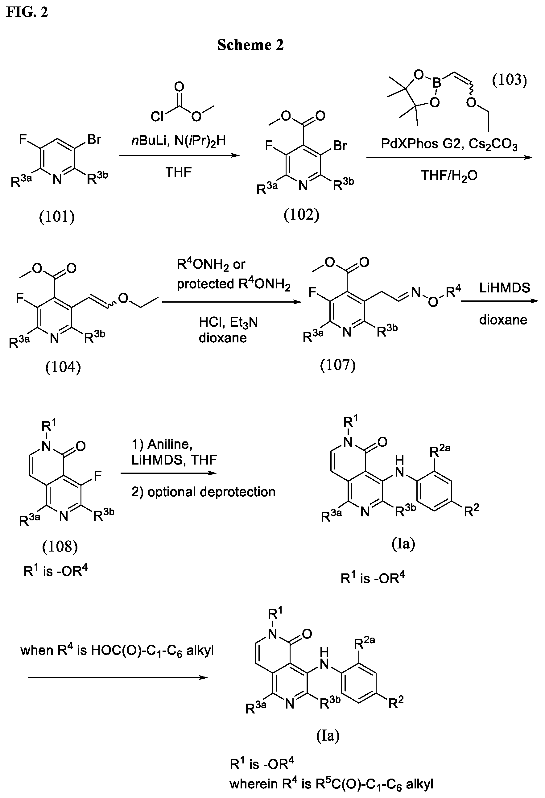 Patent US12378240 Figure 2 – Naphthyridinone-aniline compounds for treatment of dermal disorders