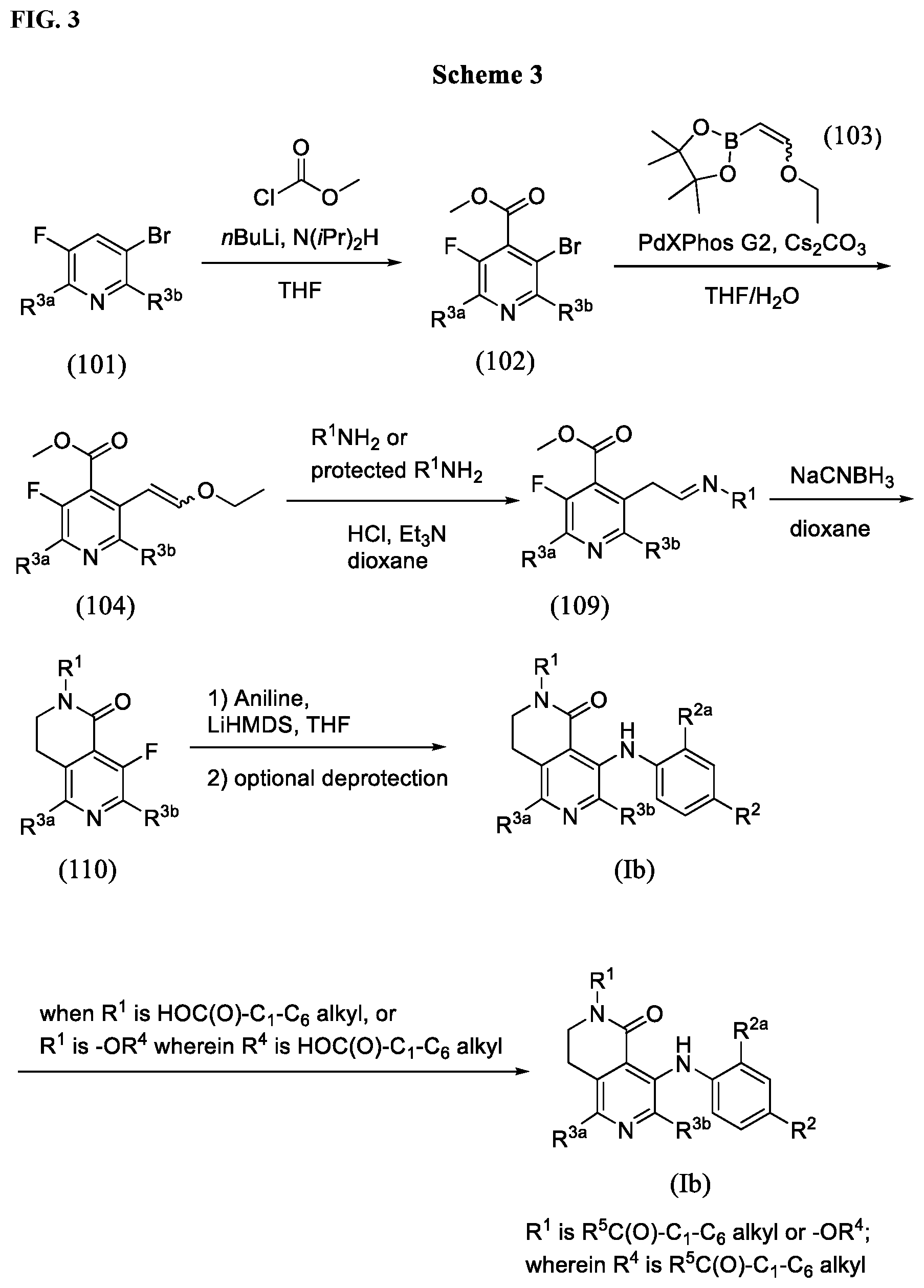 Patent US12378240 Figure 3 – Naphthyridinone-aniline compounds for treatment of dermal disorders