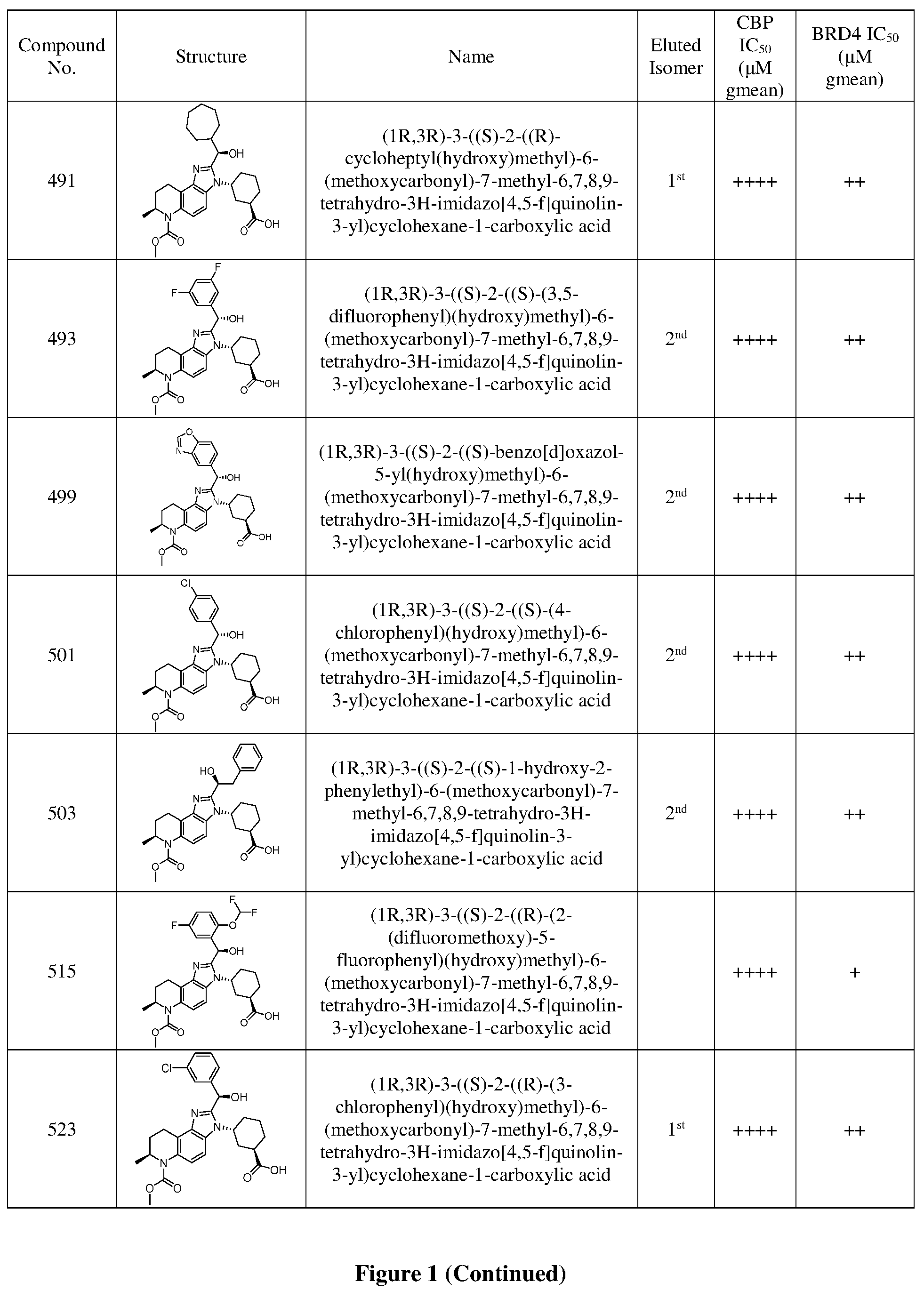 Patent US12378242 Figure 8 – Inhibiting CREB binding protein (CBP)