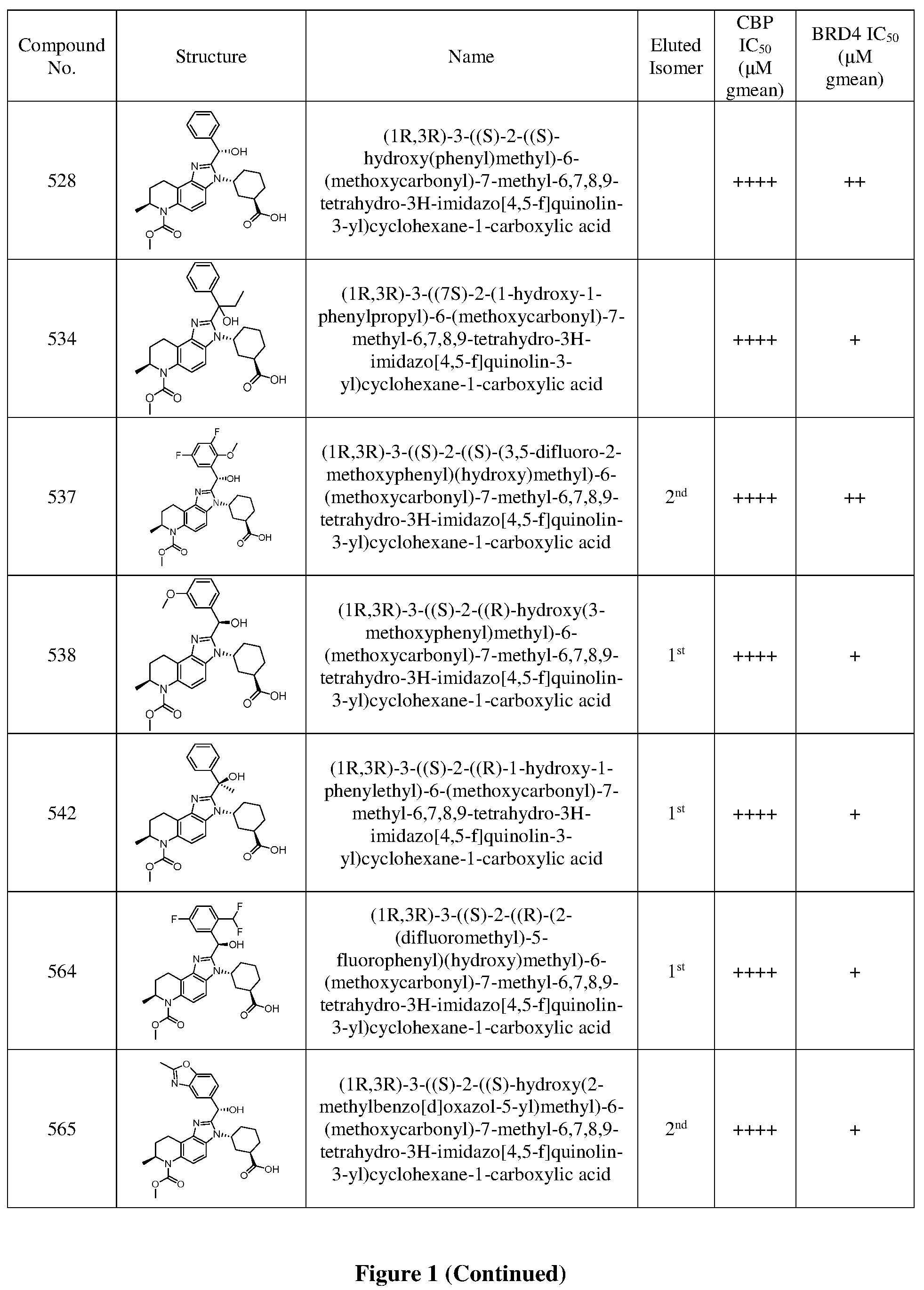 Patent US12378242 Figure 9 – Inhibiting CREB binding protein (CBP)