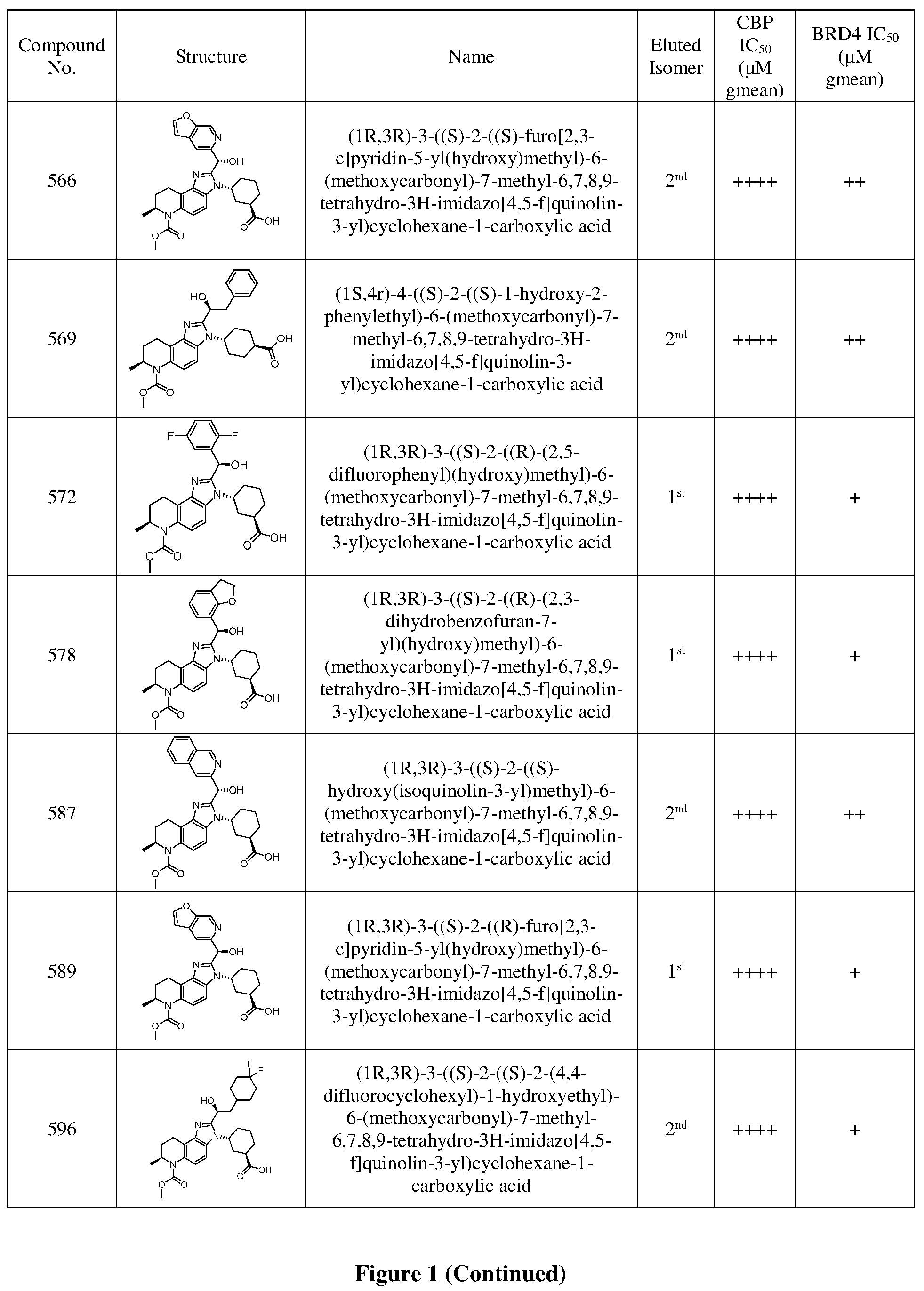 Patent US12378242 Figure 10 – Inhibiting CREB binding protein (CBP)