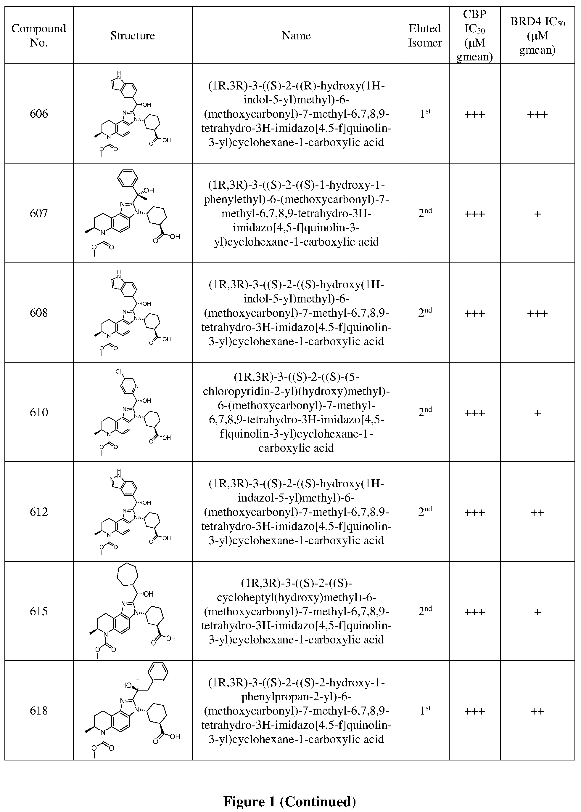 Patent US12378242 Figure 11 – Inhibiting CREB binding protein (CBP)