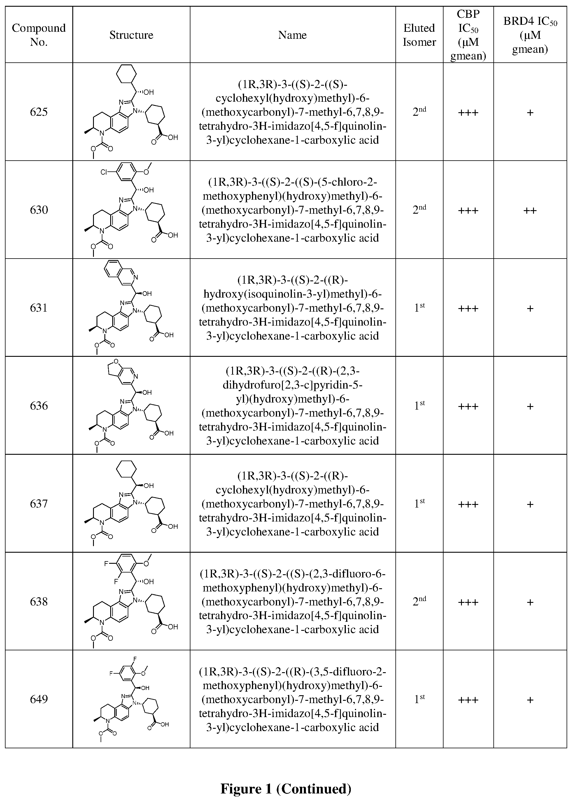 Patent US12378242 Figure 12 – Inhibiting CREB binding protein (CBP)