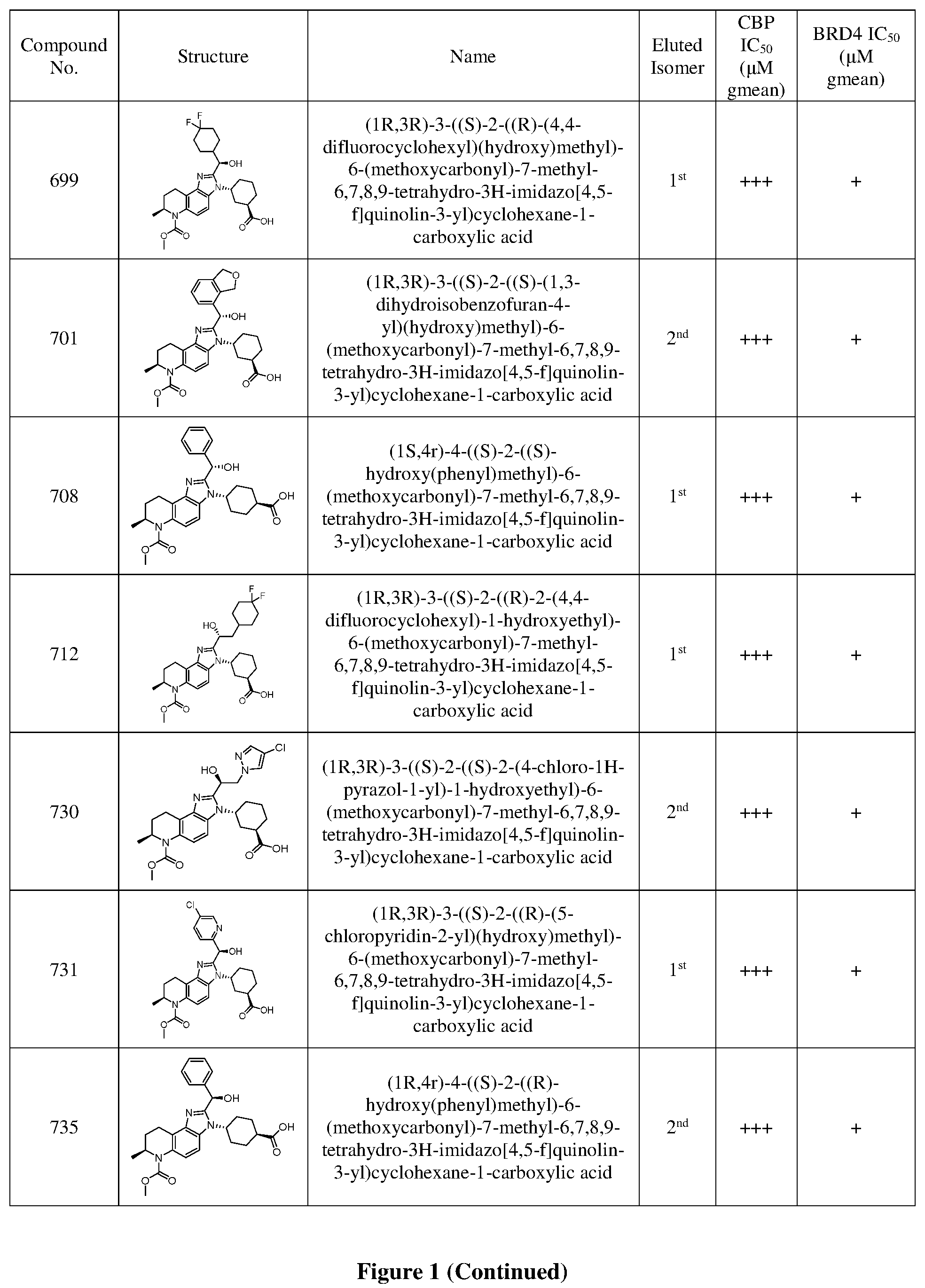 Patent US12378242 Figure 14 – Inhibiting CREB binding protein (CBP)