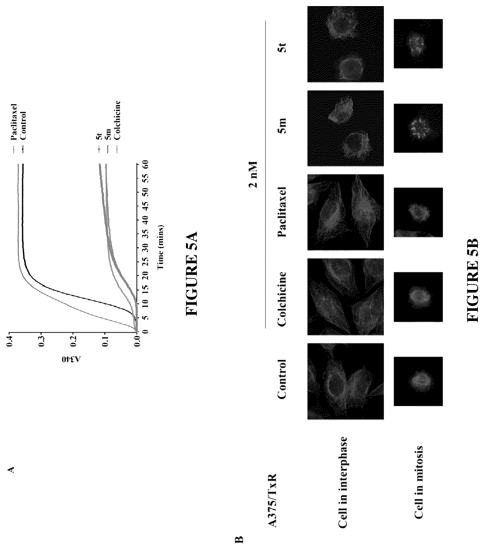 Patent US12378257 Figure 4 – Metabolically stable pyrimidinyl dihydroquinoxalinones as tubulin polymerization inhibitors