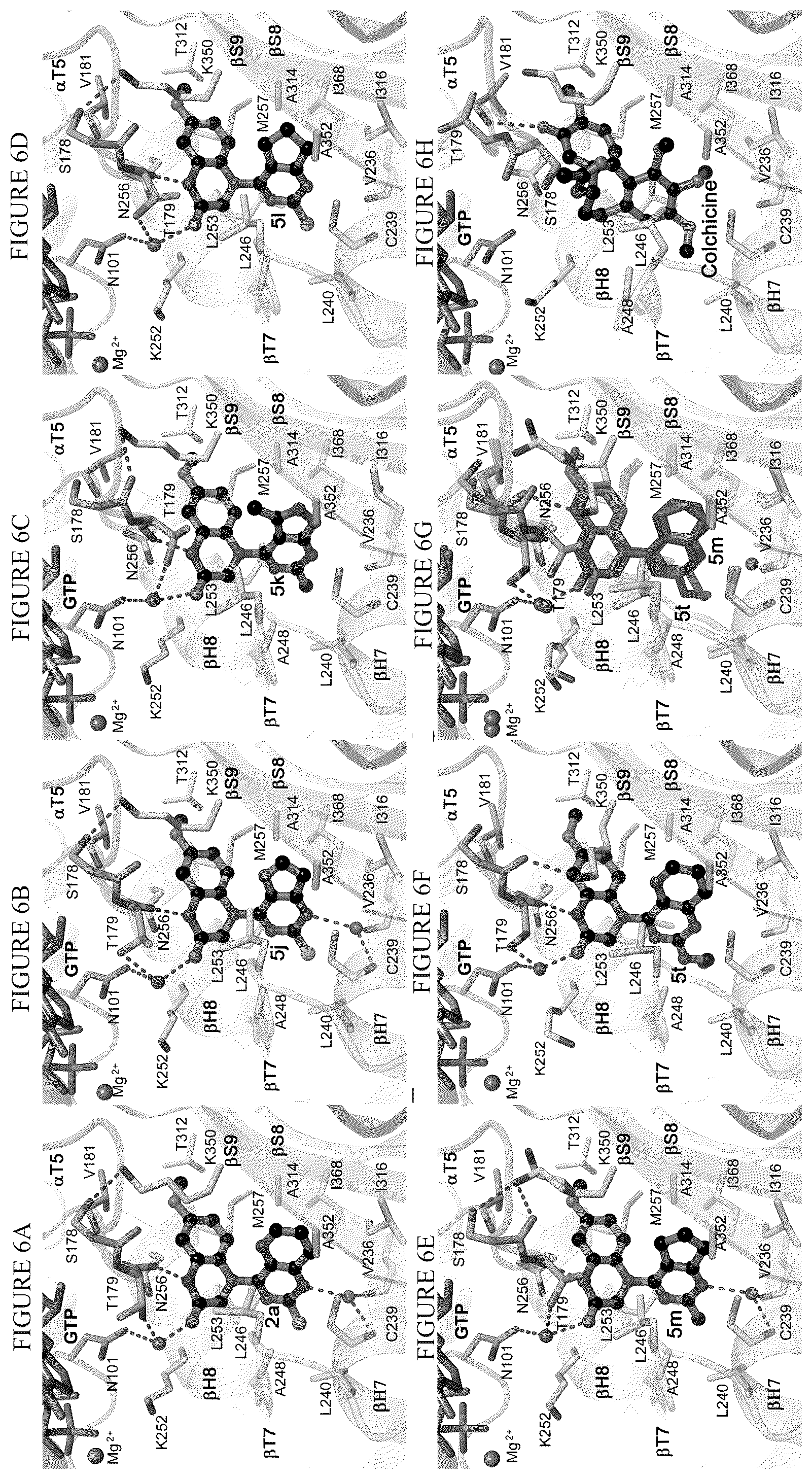 Patent US12378257 Figure 5 – Metabolically stable pyrimidinyl dihydroquinoxalinones as tubulin polymerization inhibitors