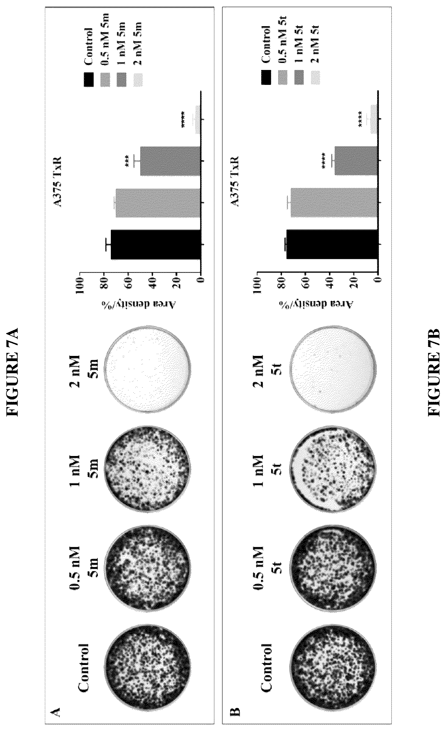 Patent US12378257 Figure 6 – Metabolically stable pyrimidinyl dihydroquinoxalinones as tubulin polymerization inhibitors
