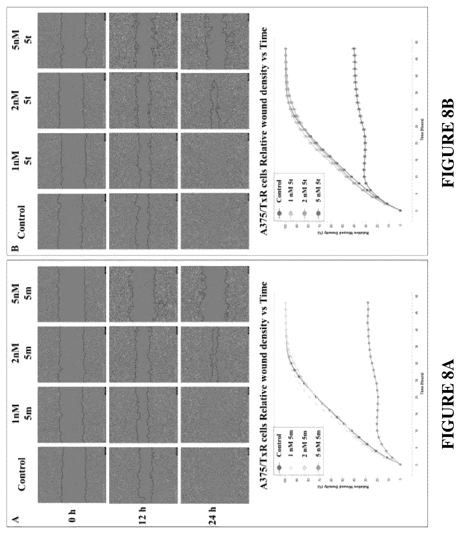 Patent US12378257 Figure 7 – Metabolically stable pyrimidinyl dihydroquinoxalinones as tubulin polymerization inhibitors