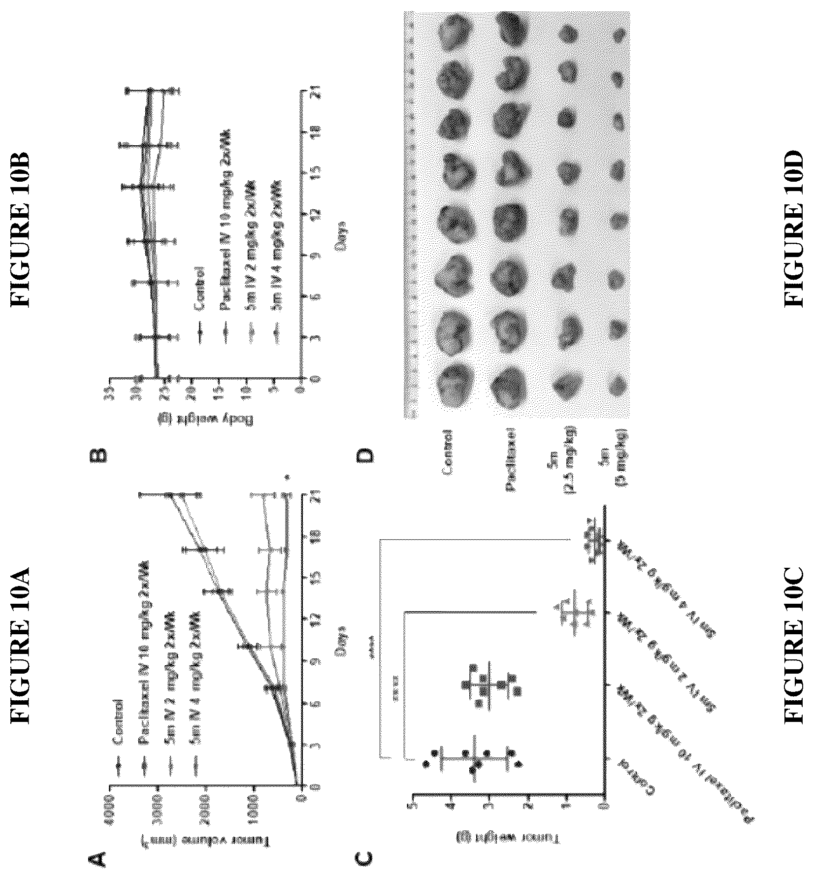 Patent US12378257 Figure 9 – Metabolically stable pyrimidinyl dihydroquinoxalinones as tubulin polymerization inhibitors