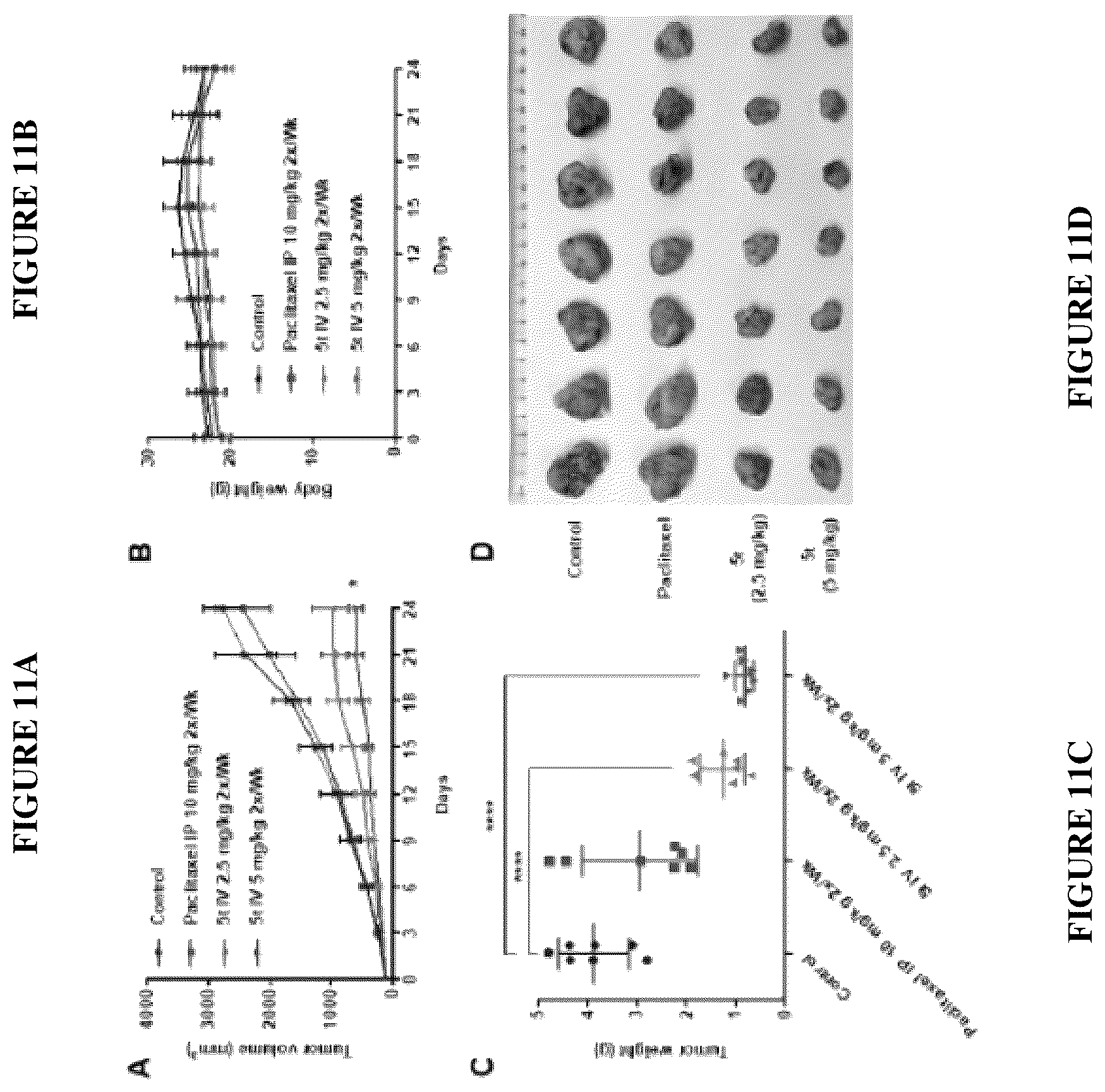Patent US12378257 Figure 10 – Metabolically stable pyrimidinyl dihydroquinoxalinones as tubulin polymerization inhibitors