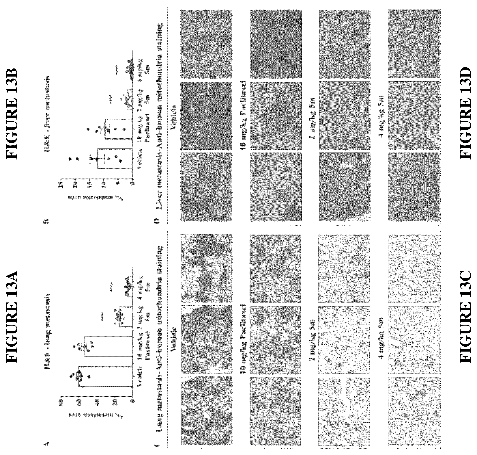 Patent US12378257 Figure 12 – Metabolically stable pyrimidinyl dihydroquinoxalinones as tubulin polymerization inhibitors