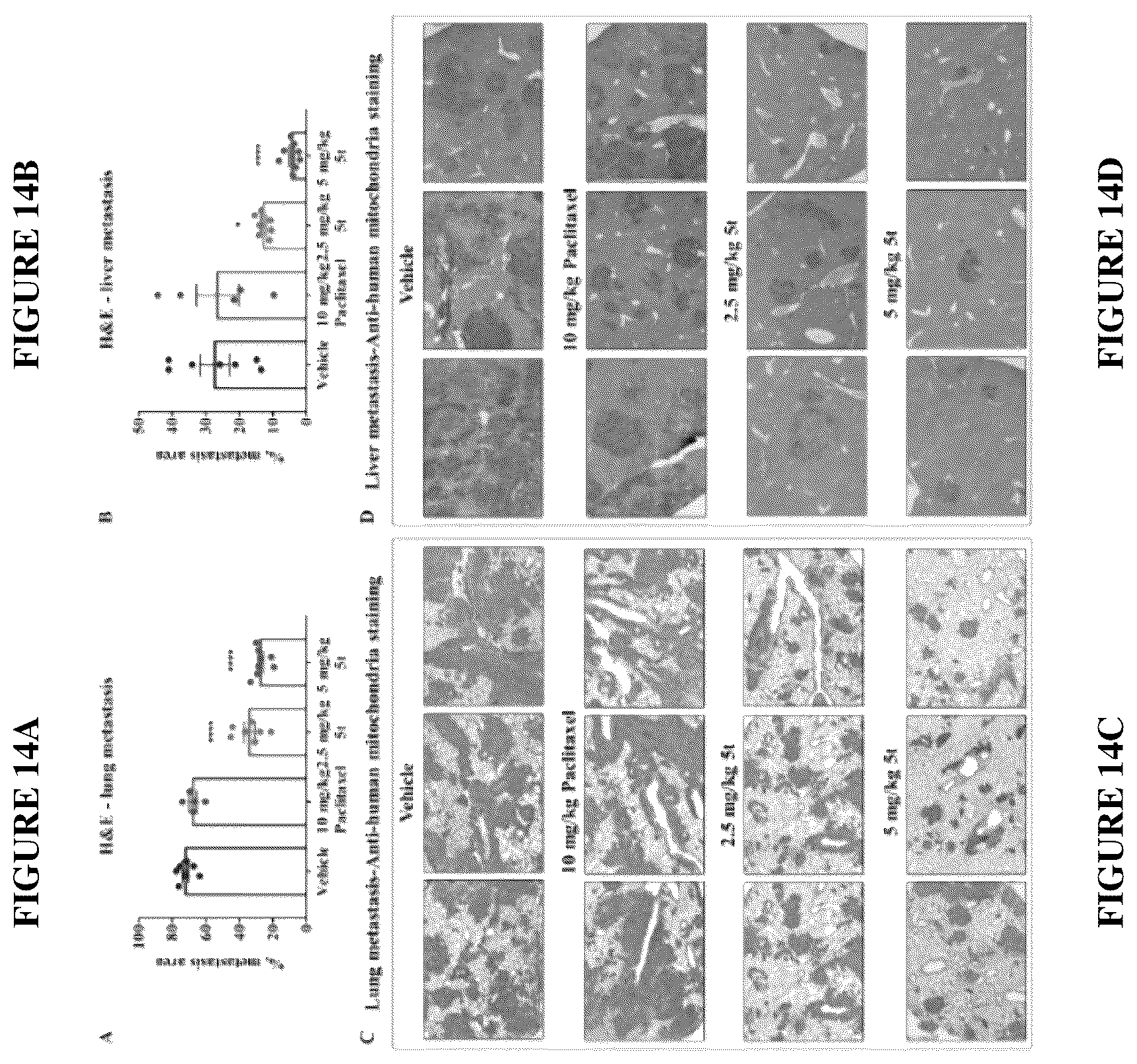 Patent US12378257 Figure 13 – Metabolically stable pyrimidinyl dihydroquinoxalinones as tubulin polymerization inhibitors