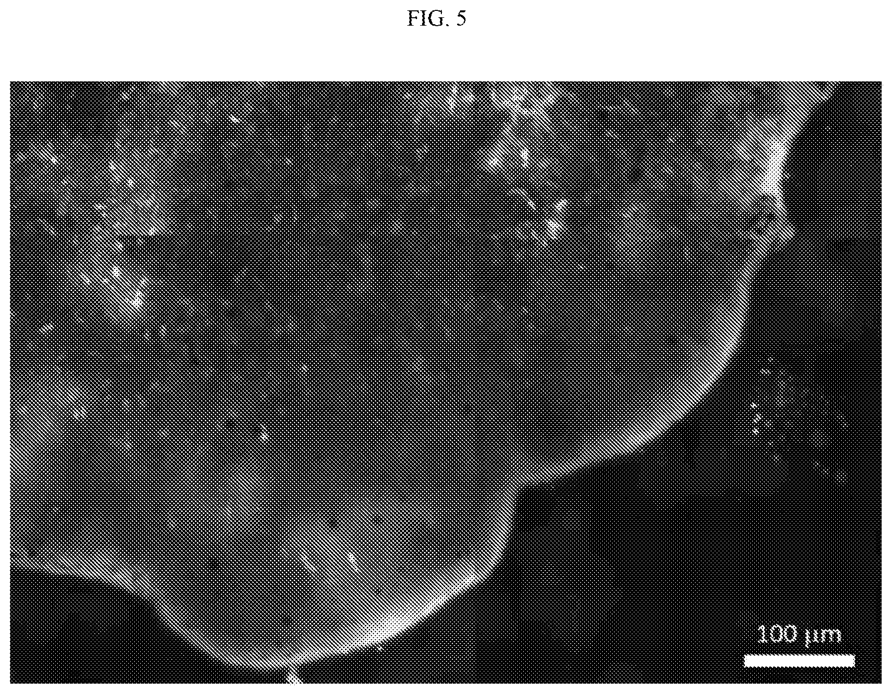 Patent US12378261 Figure 9 – One-step, fast, 18F-19F isotopic exchange radiolabeling of difluoro-dioxaborinins and use of such compounds in treatment