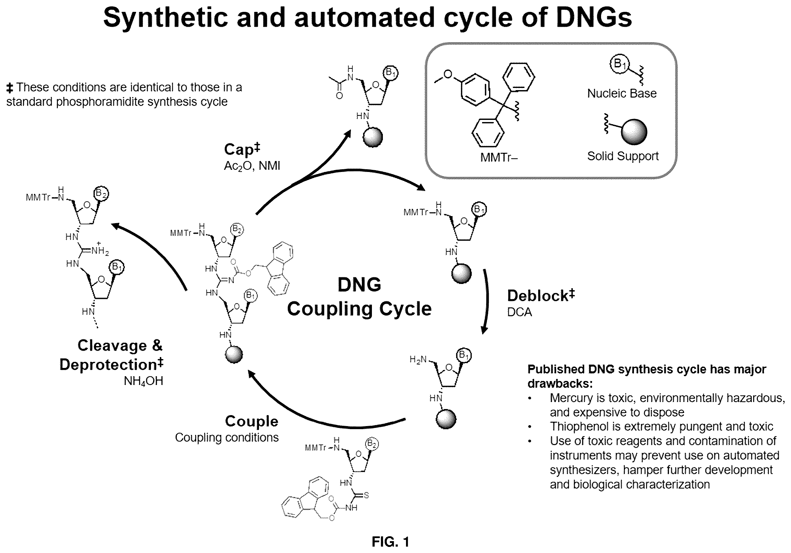Patent US12378280 Figure 1 – Deoxynucleic guanidines (DNG)-modified oligonucleotides and methods of synthesizing deoxynucleic guanidine strands